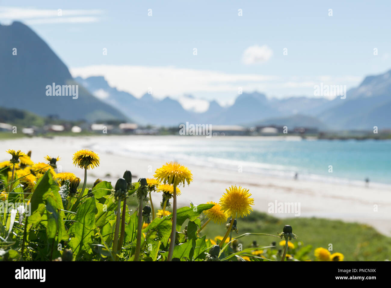 Ramberg, Lofoten, Norwegen Stockfoto