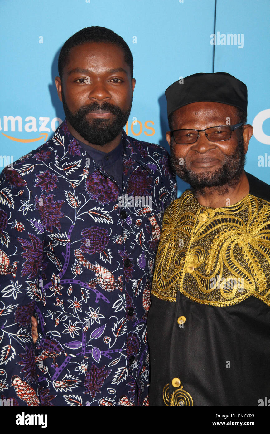 David Oyelowo 03/06/2018 Die Weltpremiere von "Gringo" in L.A. statt Live Regal Cinemas in Los Angeles, CA Foto von Izumi Hasegawa/HNW/PictureLux Stockfoto