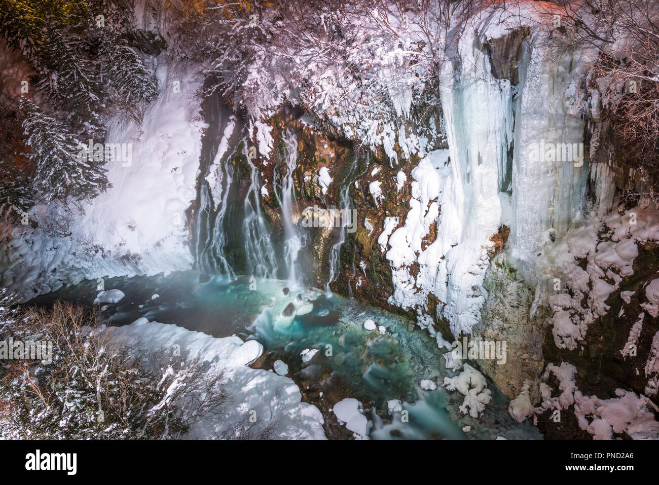 Shirogane, Biei, Hokkaido, Japan in der blauen Fluss eingefroren und in einer Winternacht beleuchtet. Stockfoto