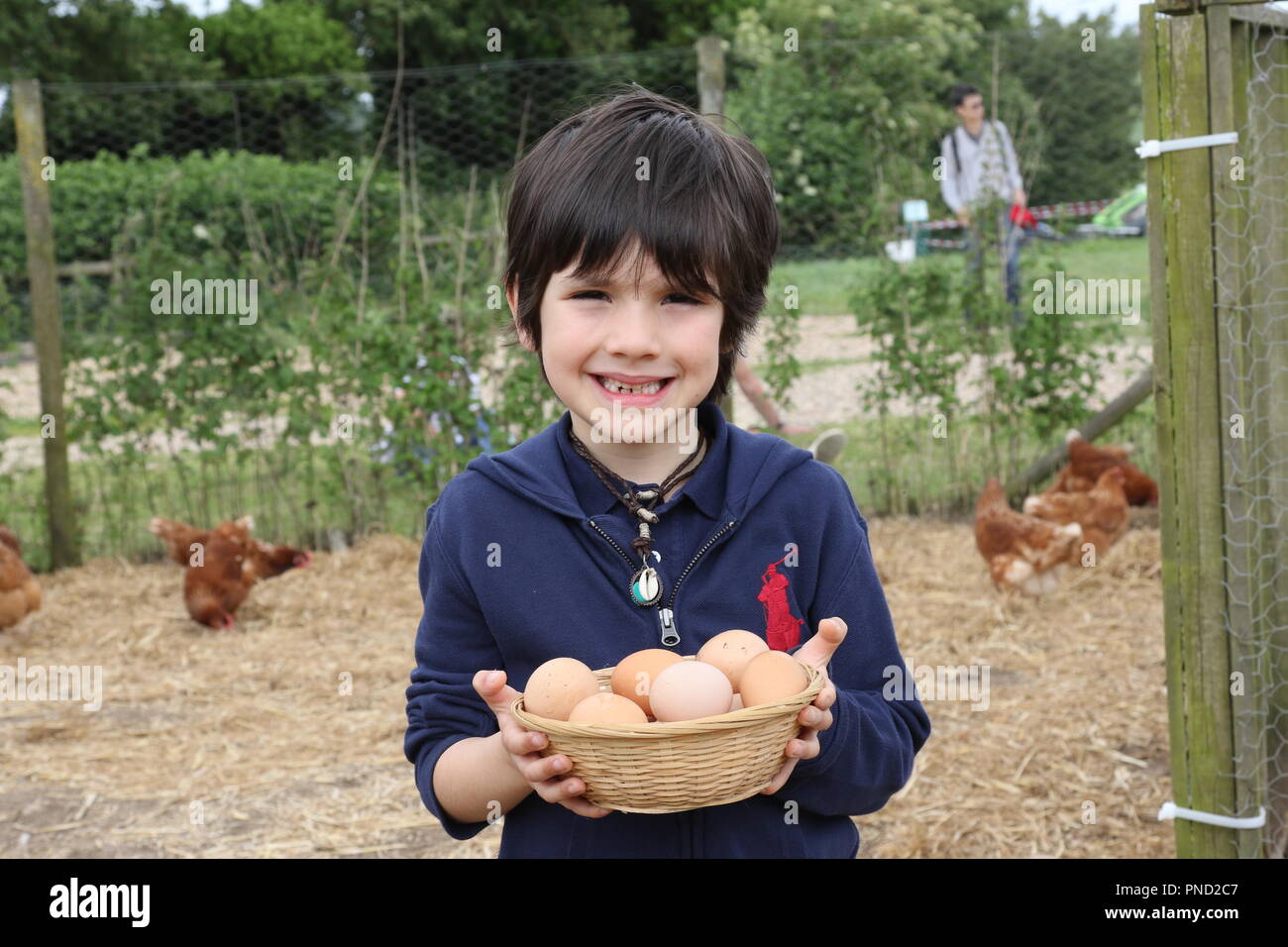 Open Farm Sonntag, Kinder in der Landwirtschaft Eier Stockfoto