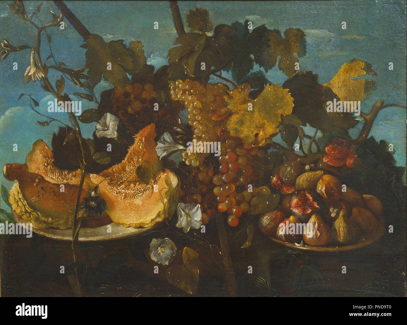 Stillleben mit Trauben, Feigen und Knochenmark. Datum/Zeit: Erste Hälfte 17. Jahrhundert. Malerei. Öl auf Leinwand. Höhe: 740 mm (29.13 in); Breite: 985 mm (38.77 in). Autor: Michele Tempo del Campidoglio. Stockfoto