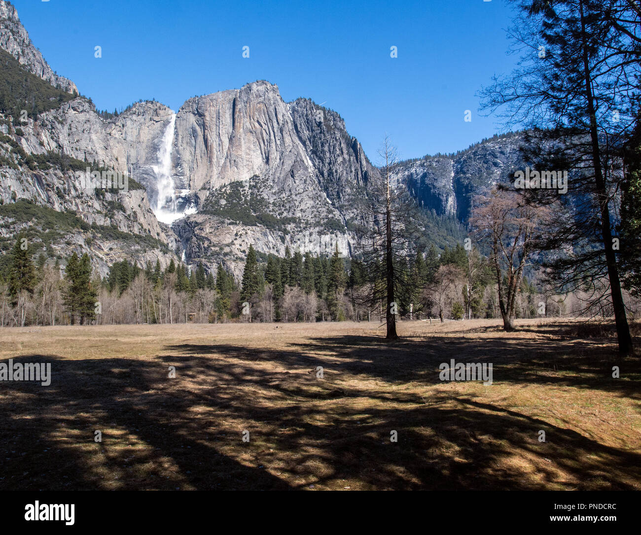 Yosemite Valley. Yosemite Falls. Stockfoto