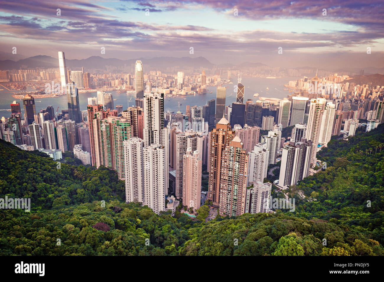 Blick auf die Innenstadt von Hongkong vom Victoria Peak. Stockfoto