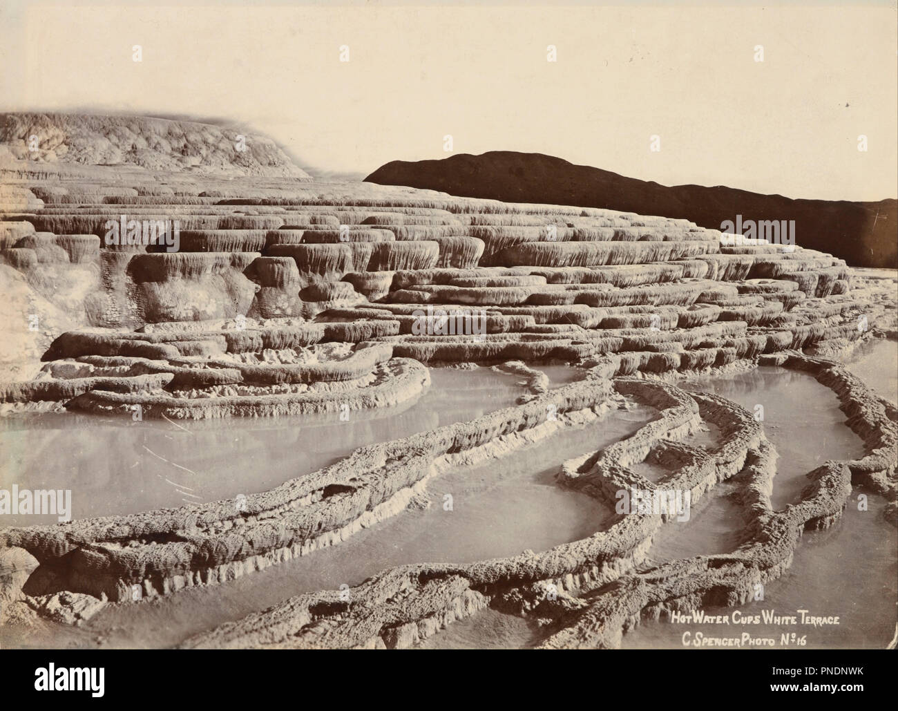 Heißes Wasser Tassen, weißen Terrasse. Datum/Zeitraum: 1880 - 1885. Fotografische Abzüge. Schwarz-weiß Foto, Silbergelatineabzug auf Druck-Papier. Höhe: 151 mm (5,94 in); Breite: 201 mm (7.91 in). Autor: Charles Spencer. Stockfoto