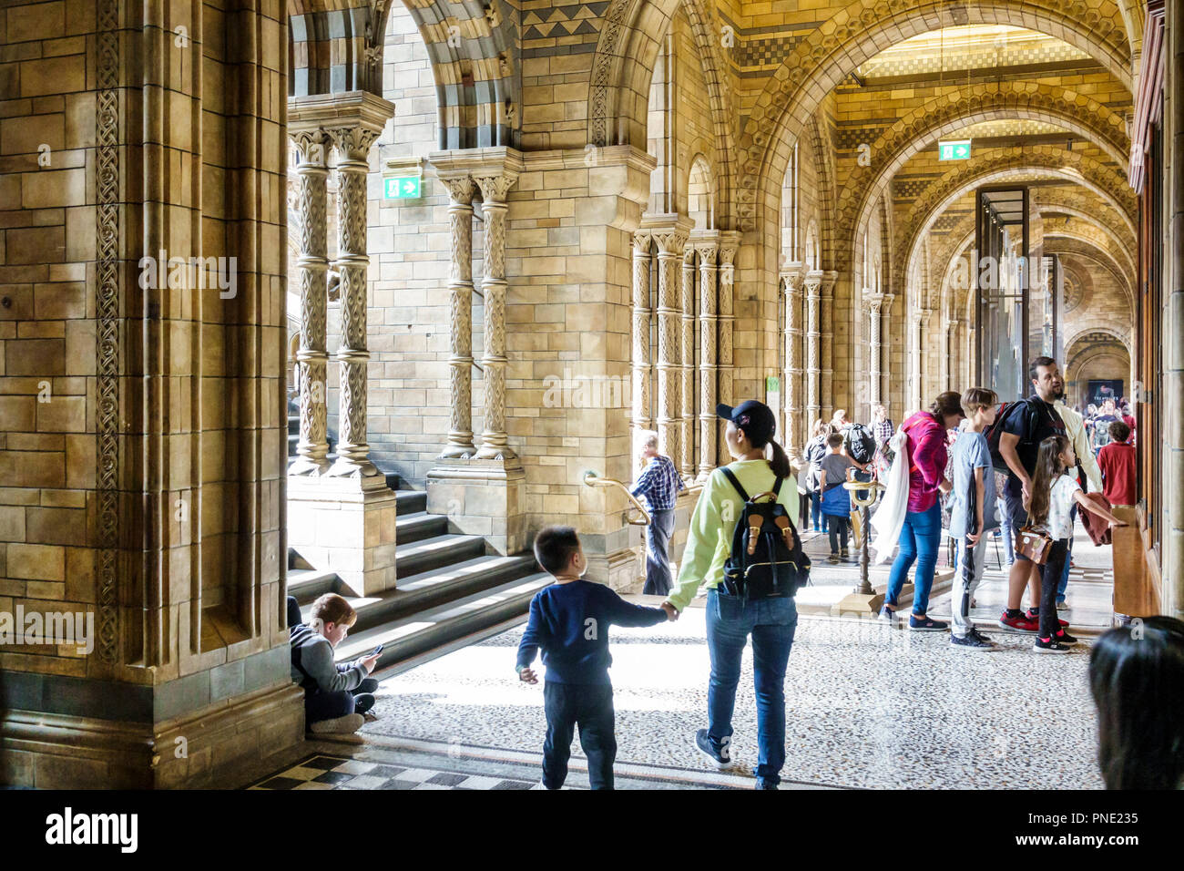 London England, Großbritannien, Großbritannien Großbritannien, Kensington, Naturkundemuseum, innen, Flur, Asiaten ethnische Einwanderer mino Stockfoto