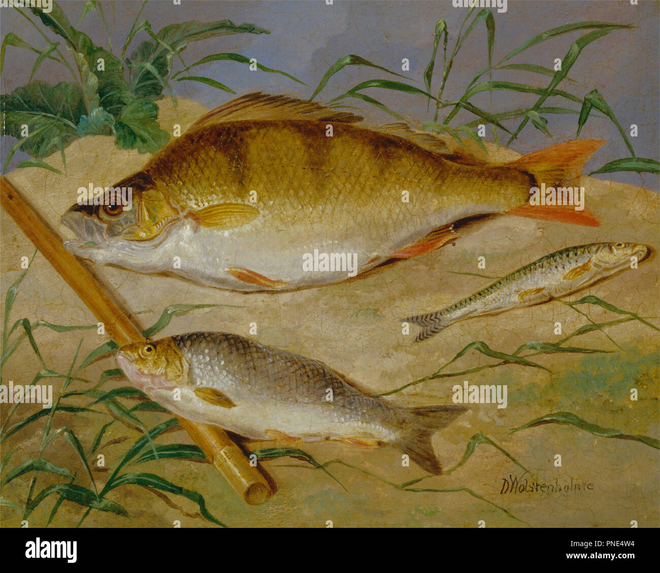Ein Angler fangen von groben Fisch. Datum/Zeit: Ca. 1850. Malerei. Öl auf Leinwand. Höhe: 203 mm (7,99 in); Breite: 254 mm (10 in.). Autor: Dean Wolstenholme. Stockfoto