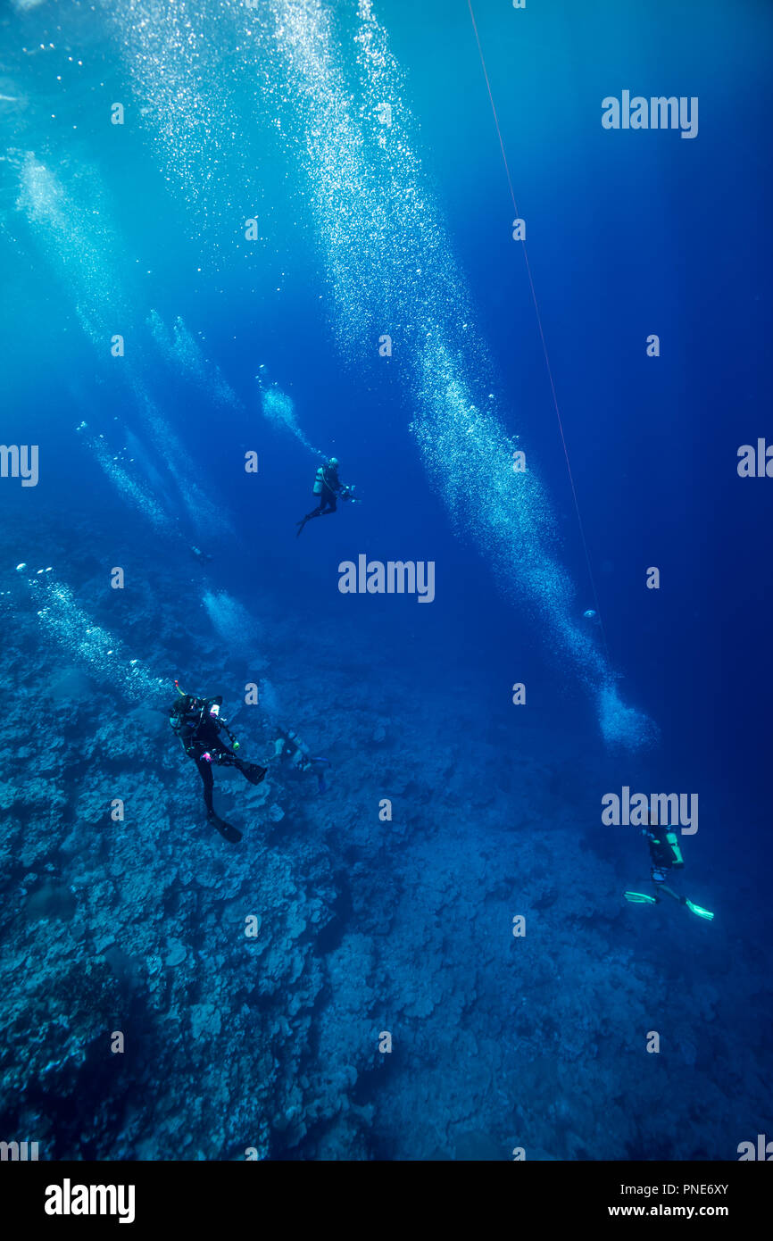 Taucher Vorbereitung aufstieg. Insel Yap der Föderierten Staaten von Mikronesien Stockfoto