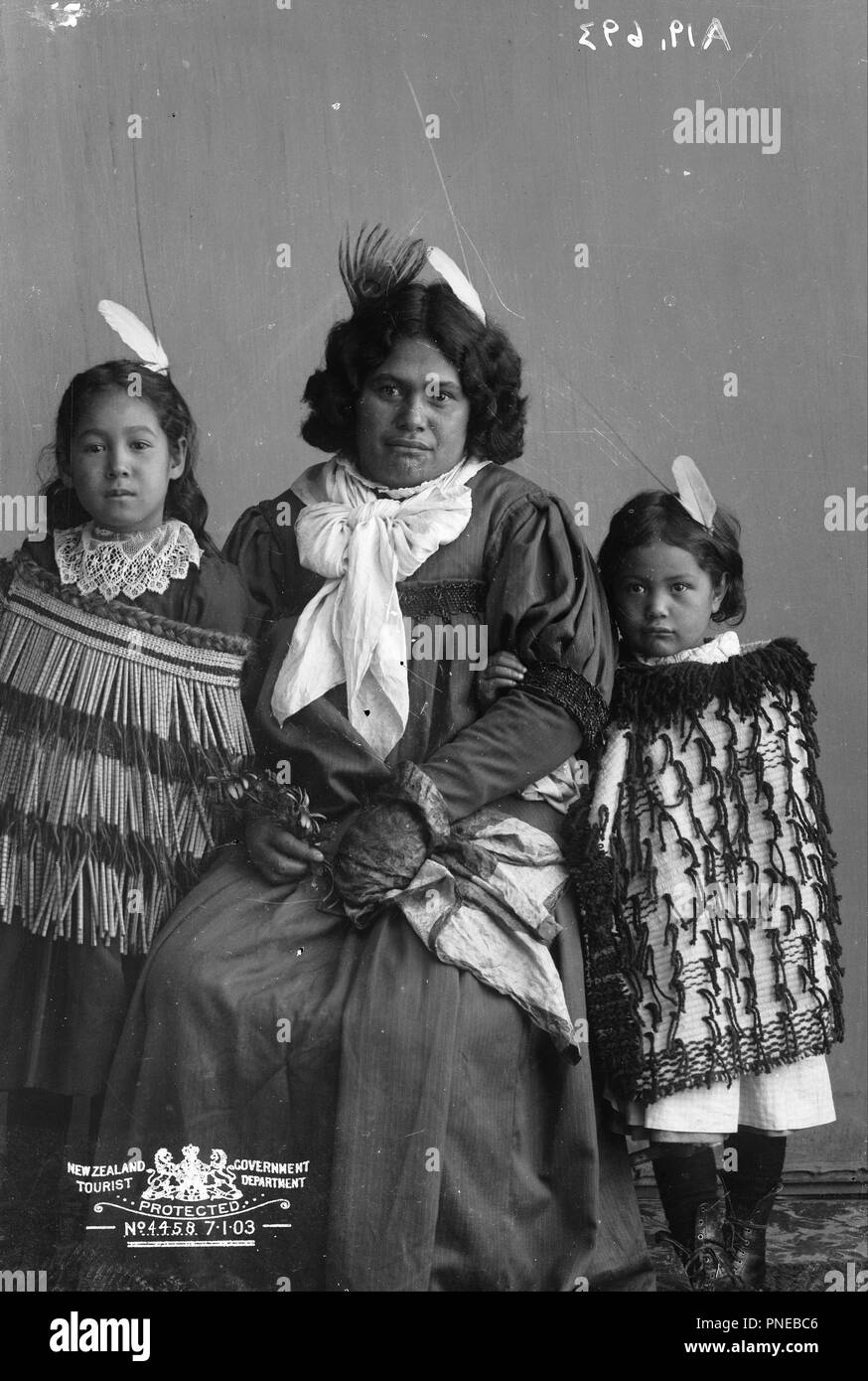 [Maori Frau und zwei Kinder]. Datum/Zeit: Ca. 1870 - 1900. Gelatine trockenen Platte negative. Schwarze und weiße Gelatine Glas kopieren negativ. Autor: Pulman und Sohn. Stockfoto