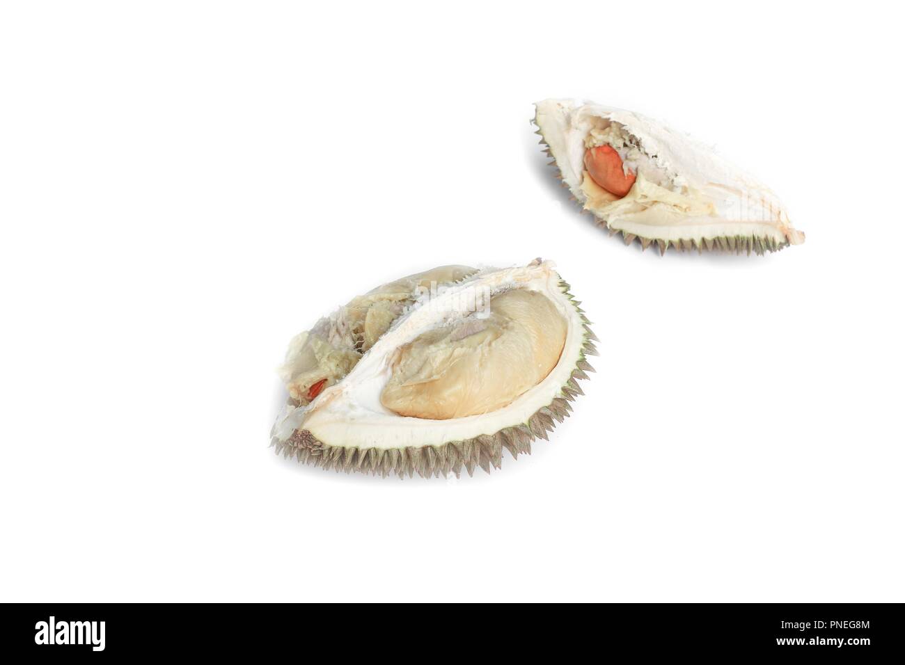 Durian reife, gelbe Fleisch tropische Früchte auf weißem Hintergrund Stockfoto