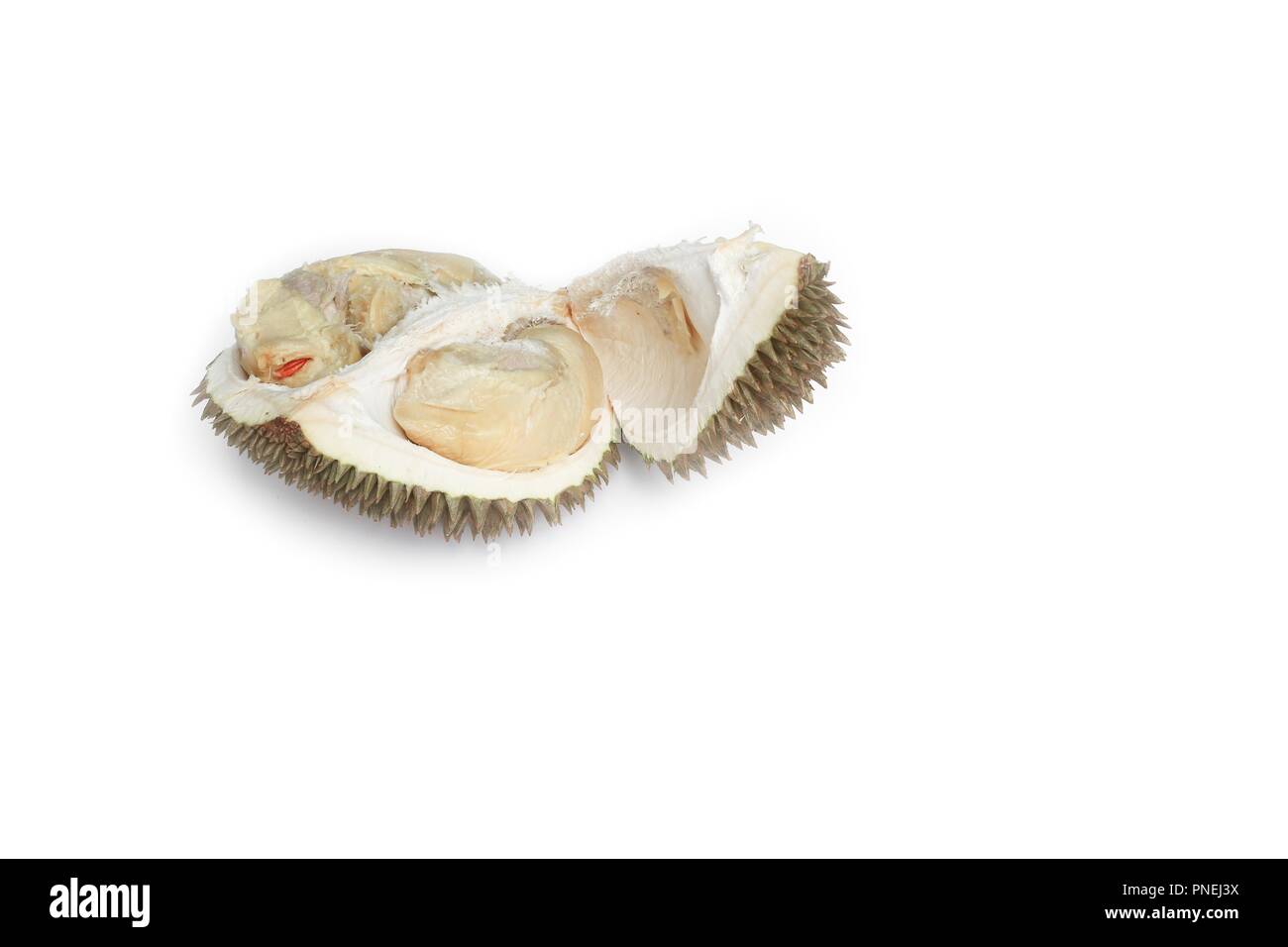 Durian reife, gelbe Fleisch tropische Früchte auf weißem Hintergrund Stockfoto