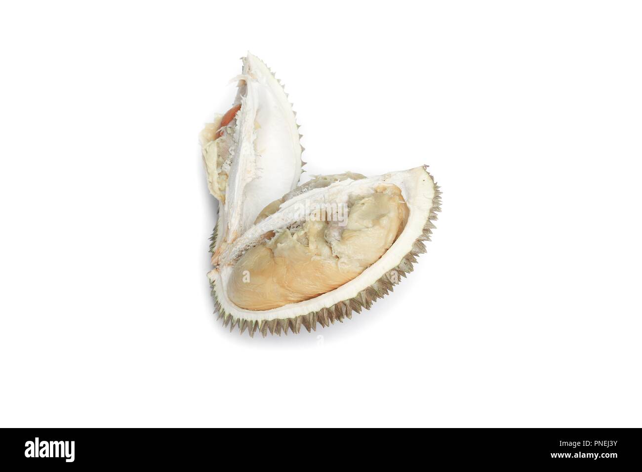 Durian reife, gelbe Fleisch tropische Früchte auf weißem Hintergrund Stockfoto