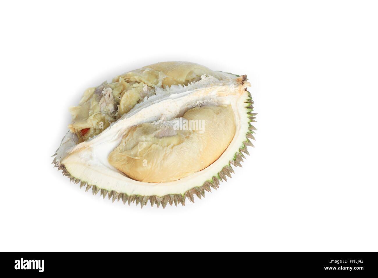 Durian reife, gelbe Fleisch tropische Früchte auf weißem Hintergrund Stockfoto