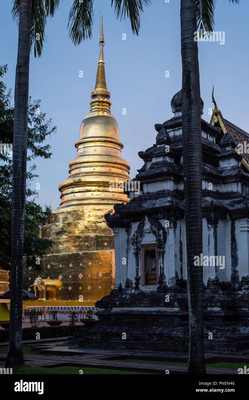 Goldene Pagode in Phra Singh Tempel. Chiang Mai, Thailand. Stockfoto