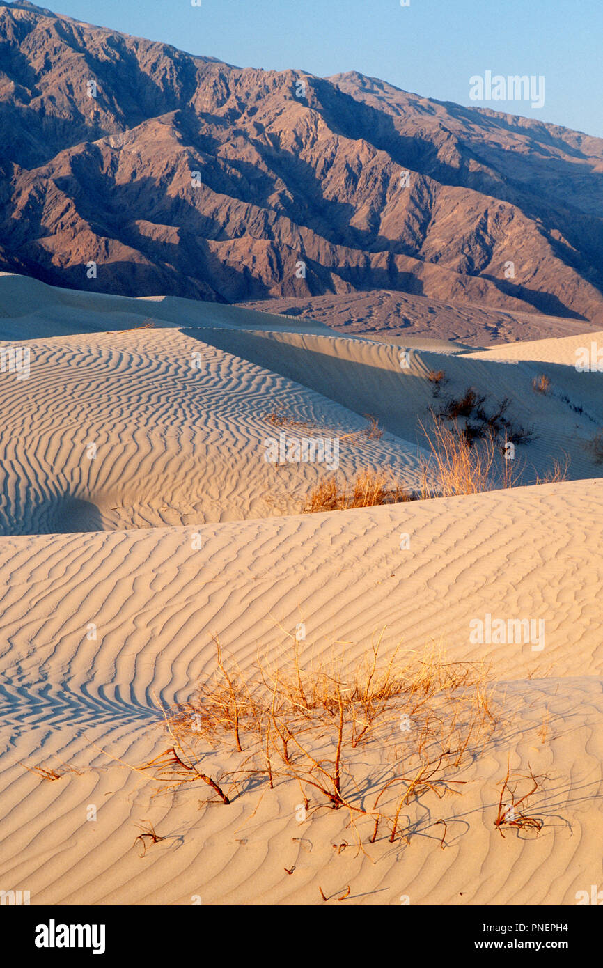 Panamint Dünen, Panamint Berge in der Ferne, Death Valley National Park, Kalifornien Stockfoto