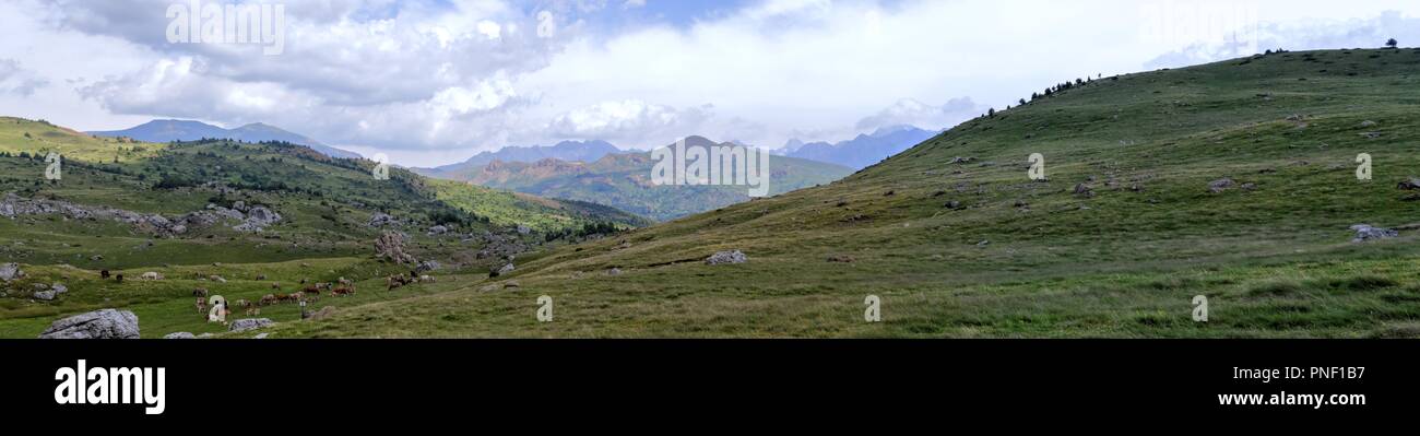 Die Berge und das Massiv entlang der grünen Pfad zur Piedrafita de Jaca See in den aragonesischen Pyrenäen Stockfoto