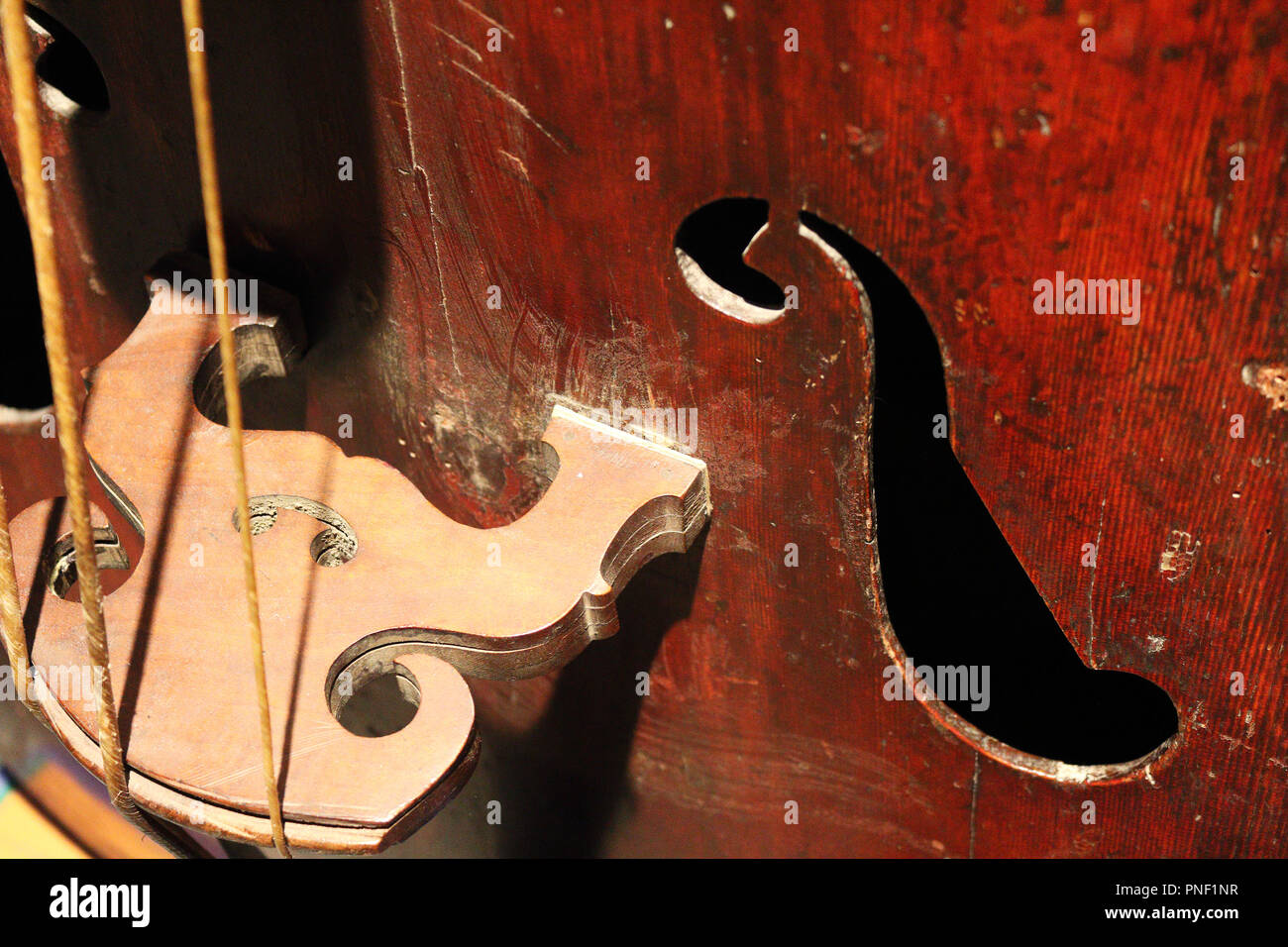 Eine Nahaufnahme Detail eines alten Cello (Violoncello) mit der F-Löcher, die Streicher und die Brücke Stockfoto