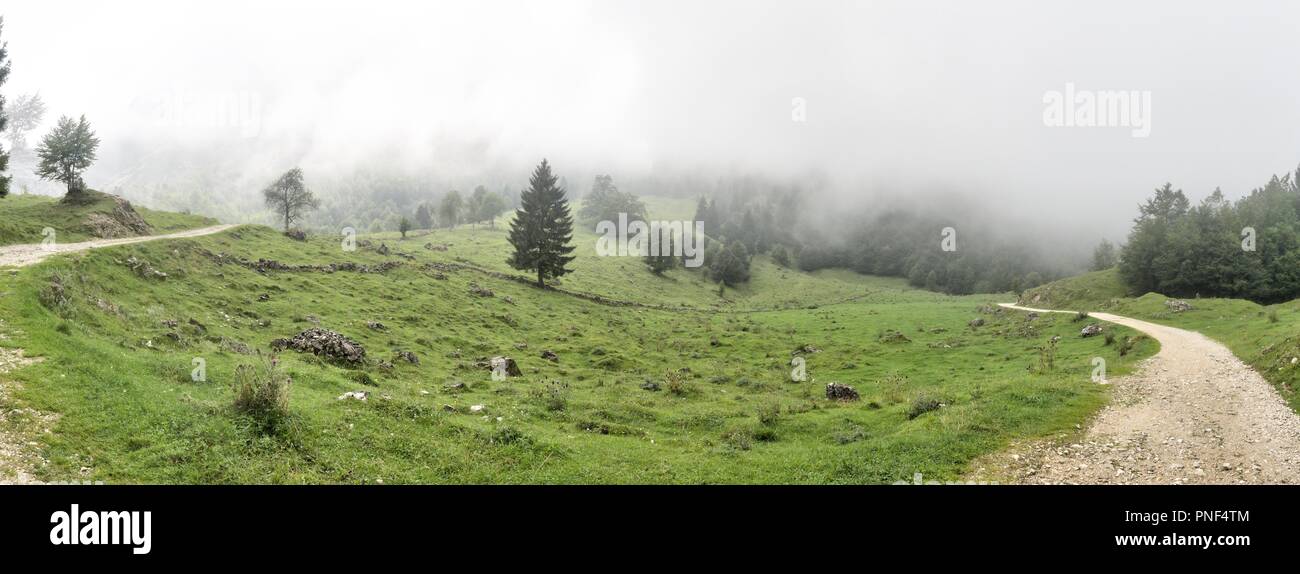 Eine Spur in die Nebel der Montagnole Basse Berge, in den italienischen Alpen, nur nach dem Regen, mit dicken Wolken, nasses Gras und Bäumen. Stockfoto