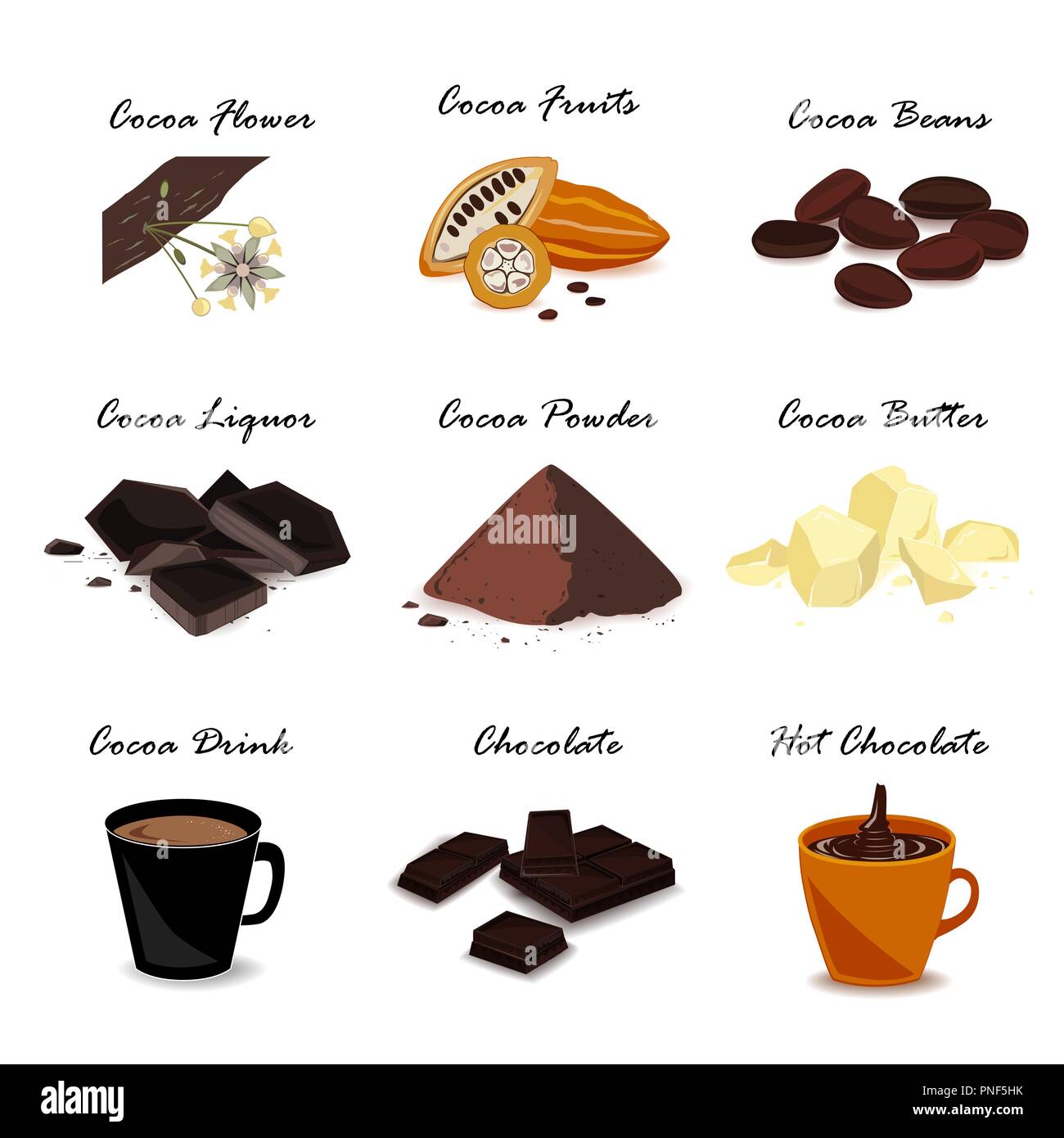 Super Food Kakao Kollektion. Pod, Bohnen, Kakaobutter, Kakaomasse, Schokolade, Kakao trinken und Pulver. Vektor einrichten Stock Vektor