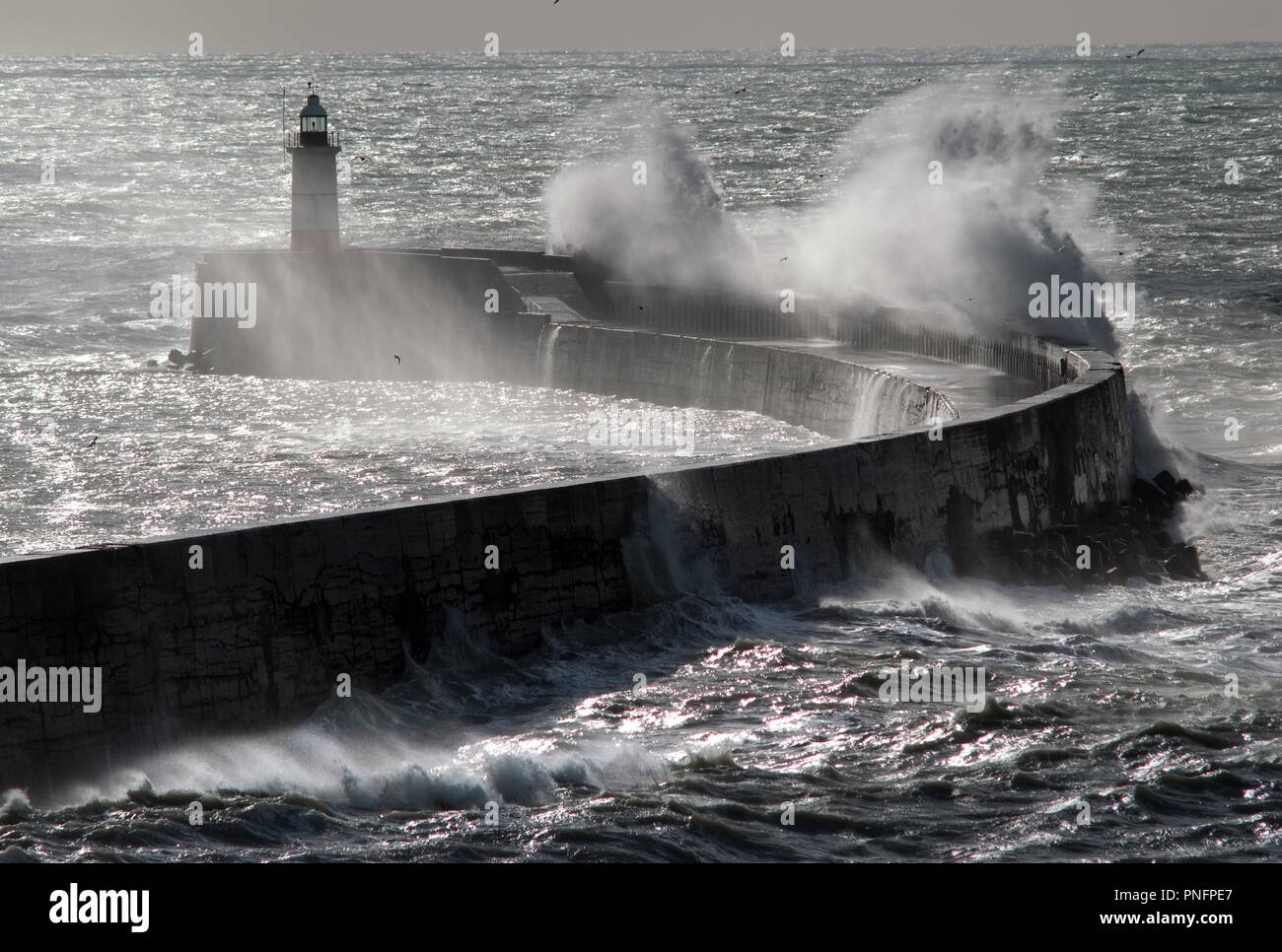 Newhaven, East Sussex, UK. 2. September 2018. Starke Winde vom Sturm Bronagh schlagen Newhaven wellenbrecher als Fähre für Dieppe, Frankreich. © Peter Cripps/Alamy leben Nachrichten Stockfoto