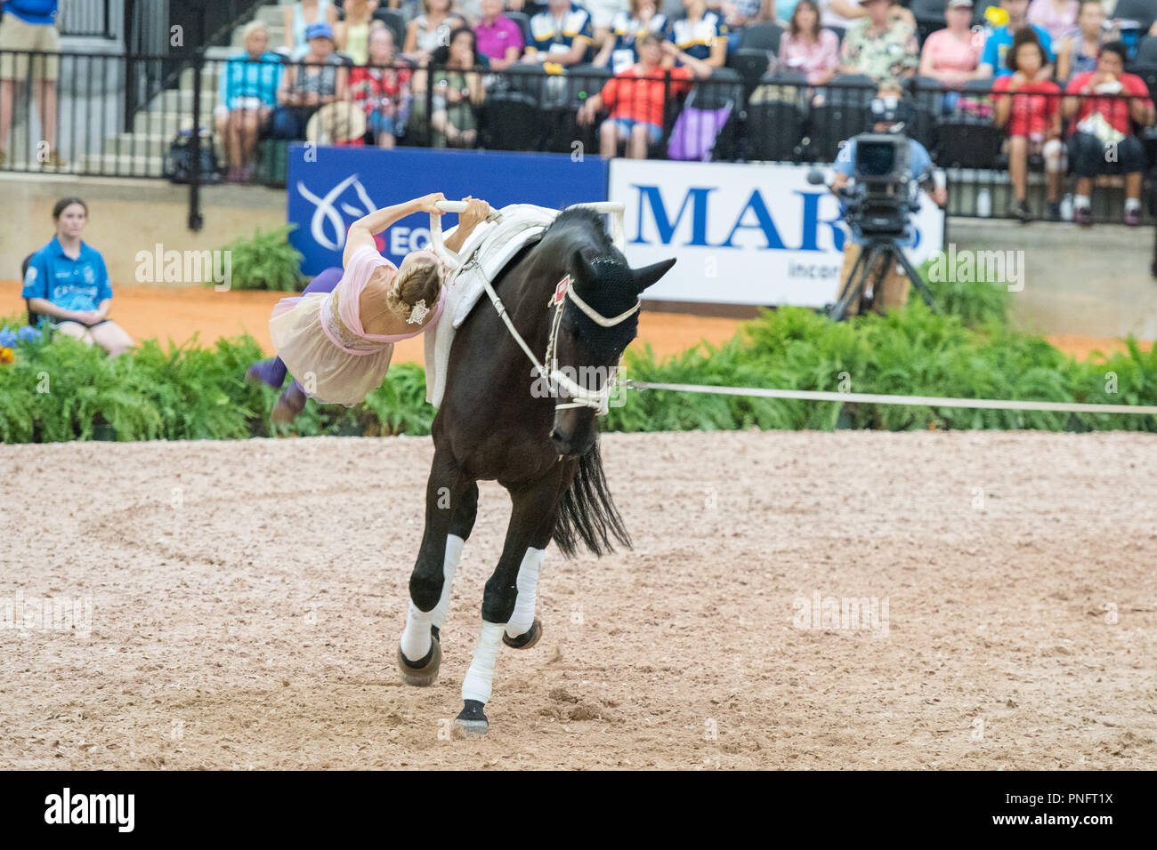 Mühle Frühling, NC. 20. Sep 2018. FEI WEG Tryon 2018 weiterhin mit Springen und Voltigieren Wettbewerbe. Stockfoto