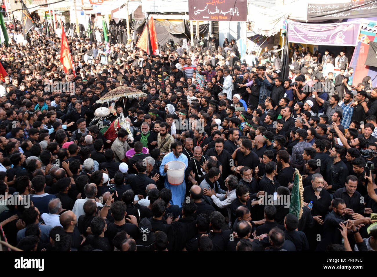 Srinagar, Kashmir 21. SEPTEMBER. Kaschmirischen schiitischen muslimischen berühren Sie das Gesicht von einem Pferd symbolisiert das Pferd von Imam Hussein. das Martyrium des Imam Hussain, der Enkel des Islam des Propheten Muhammad gedenken. Schiitische Muslime markieren Ashura, am zehnten Tag des Monats Muharram das Martyrium des Imam Hussein, Enkel des Propheten Mohammed zu gedenken, die während der Schlacht von Kerbela. Muharram prozessionen am 8. und Ashura wurden in Srinagar vom frühen 90 betragt verboten. © sofi Suhail/Alamy leben Nachrichten Stockfoto