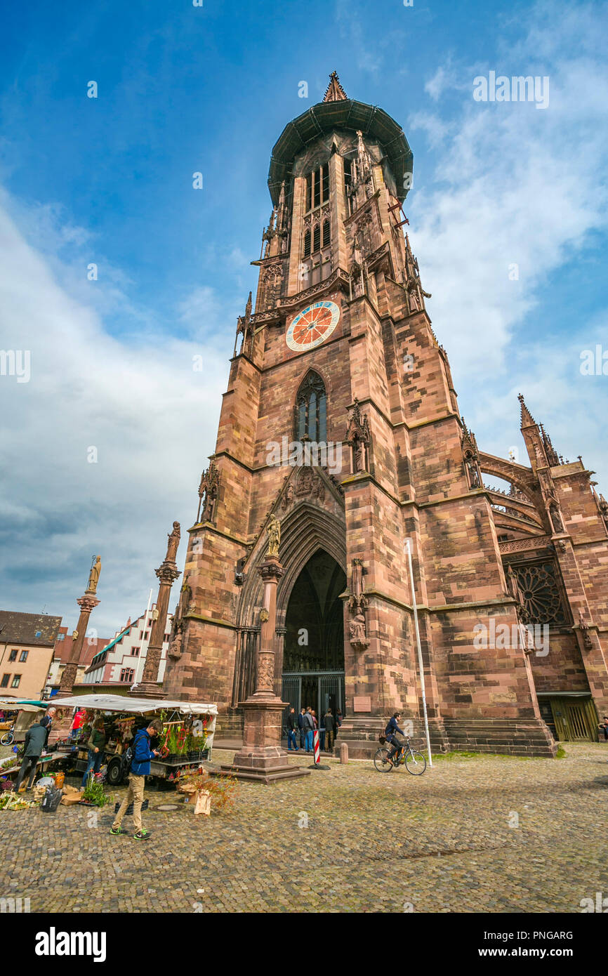 Das Freiburger Münster. Kathedrale. Freiburg. Freiburg im Breisgau. Schwarzwald. Baden Württemberg. Deutschland Stockfoto