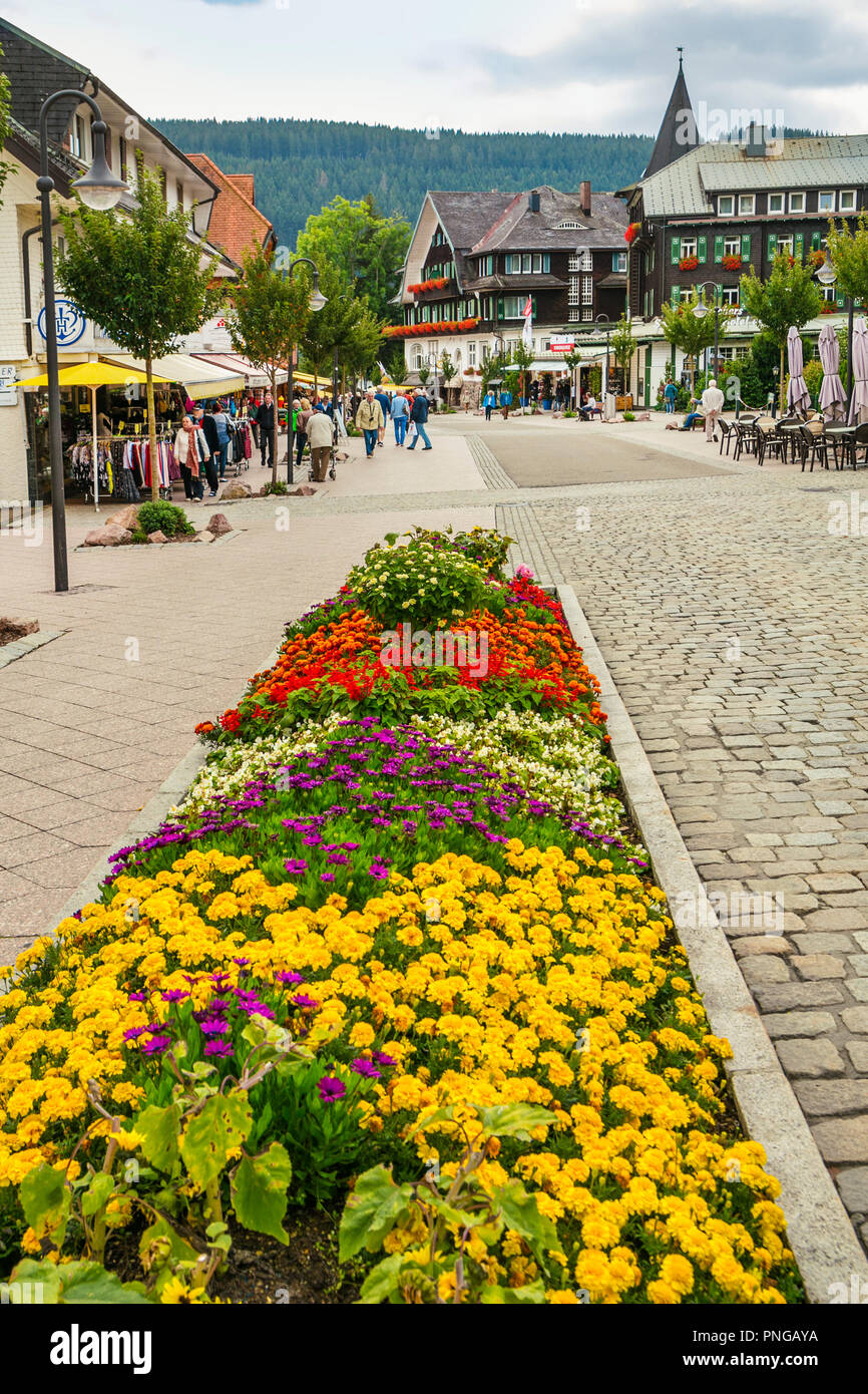 Titisee. Titisee-Neustadt. Schwarzwald. Baden Württemberg. Deutschland. Europa Stockfoto