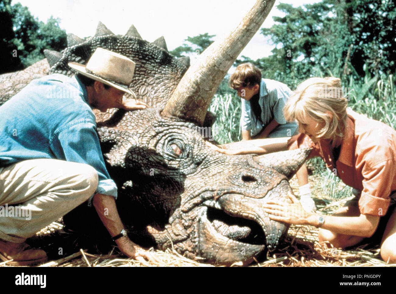 Original Filmtitel: Jurassic Park. Englischer Titel: Jurassic Park. Jahr: 1993. Regie: Steven Spielberg. Stars: Laura Dern, Sam Neill. Credit: AMBLIN/Universal/Album Stockfoto