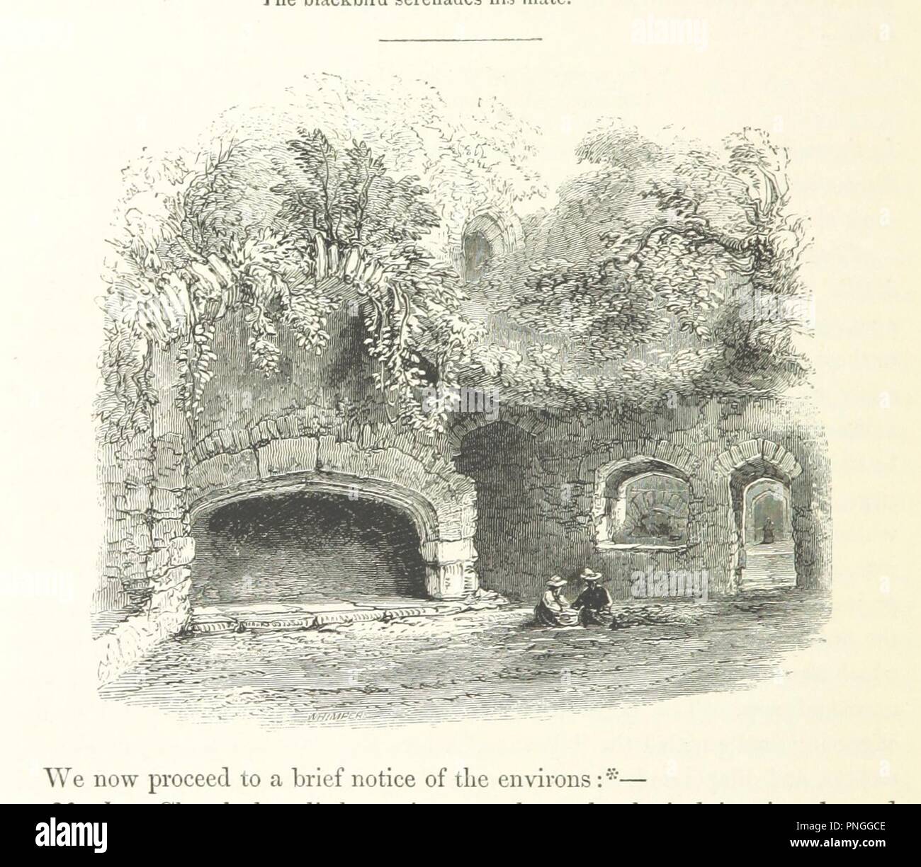 Bild von Seite 284 "[Die Burgen und Abteien Englands. Illustriert von. Gravuren.]'. Stockfoto