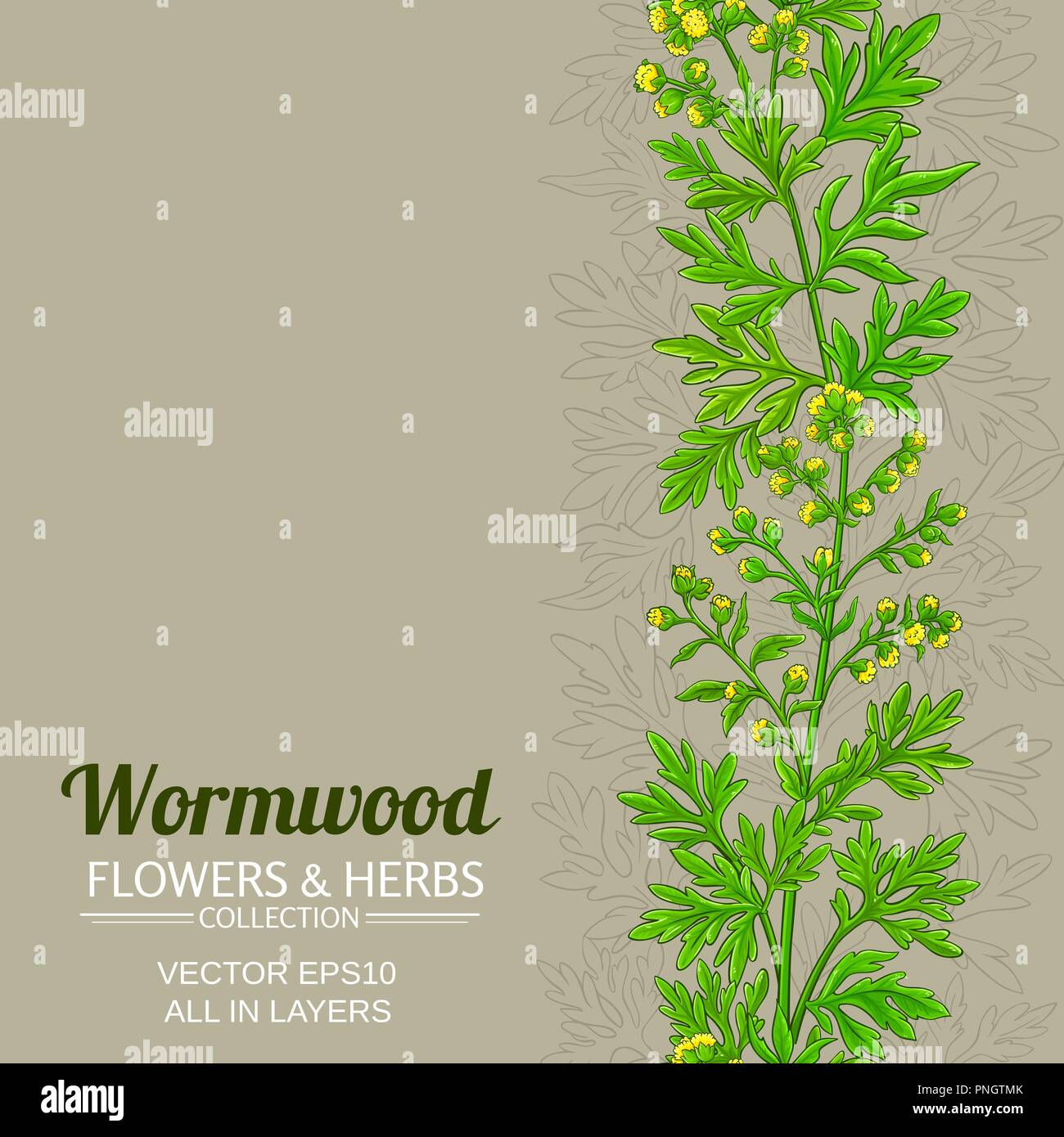 Wermut vektor Muster auf farbigen Hintergrund Stock Vektor