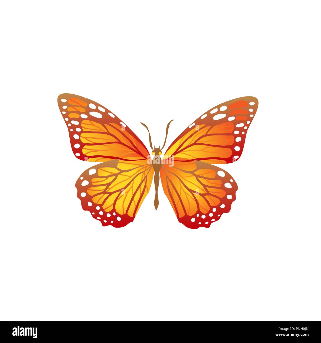 Helles orange Schmetterling Stock Vektor