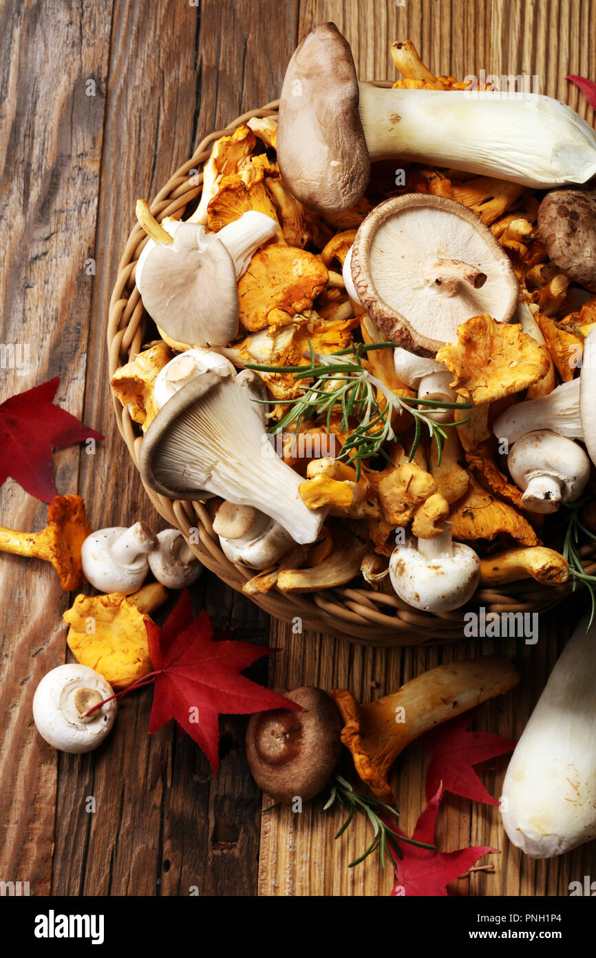 Vielzahl an raw Pilze auf Holztisch. chanterelle, Austern und andere frische Pilze Stockfoto