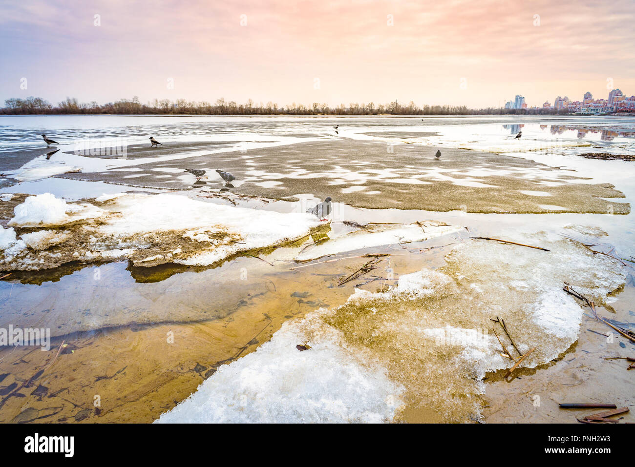 Blöcke von Eis auf dem gefrorenen Fluss Dnepr in Kiew bei einem kalten Winter. Tauben und Krähen sind auf der Suche nach Essen. Die obolon Skyline erscheint in der Dist Stockfoto