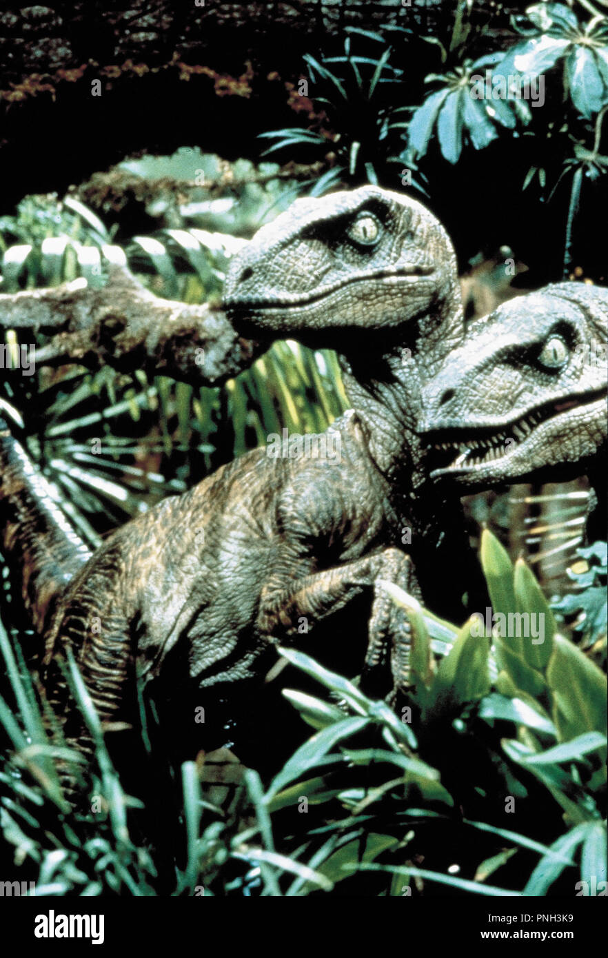 Original Filmtitel: Jurassic Park. Englischer Titel: Jurassic Park. Jahr: 1993. Regie: Steven Spielberg. Credit: AMBLIN/Universal/Album Stockfoto