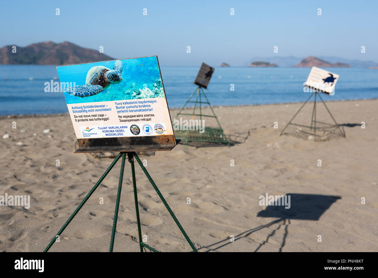 Käfige Schutz der Meeresschildkröte Nester/Eier, die auf einem Strand in der Türkei festgelegt wurden, Stockfoto