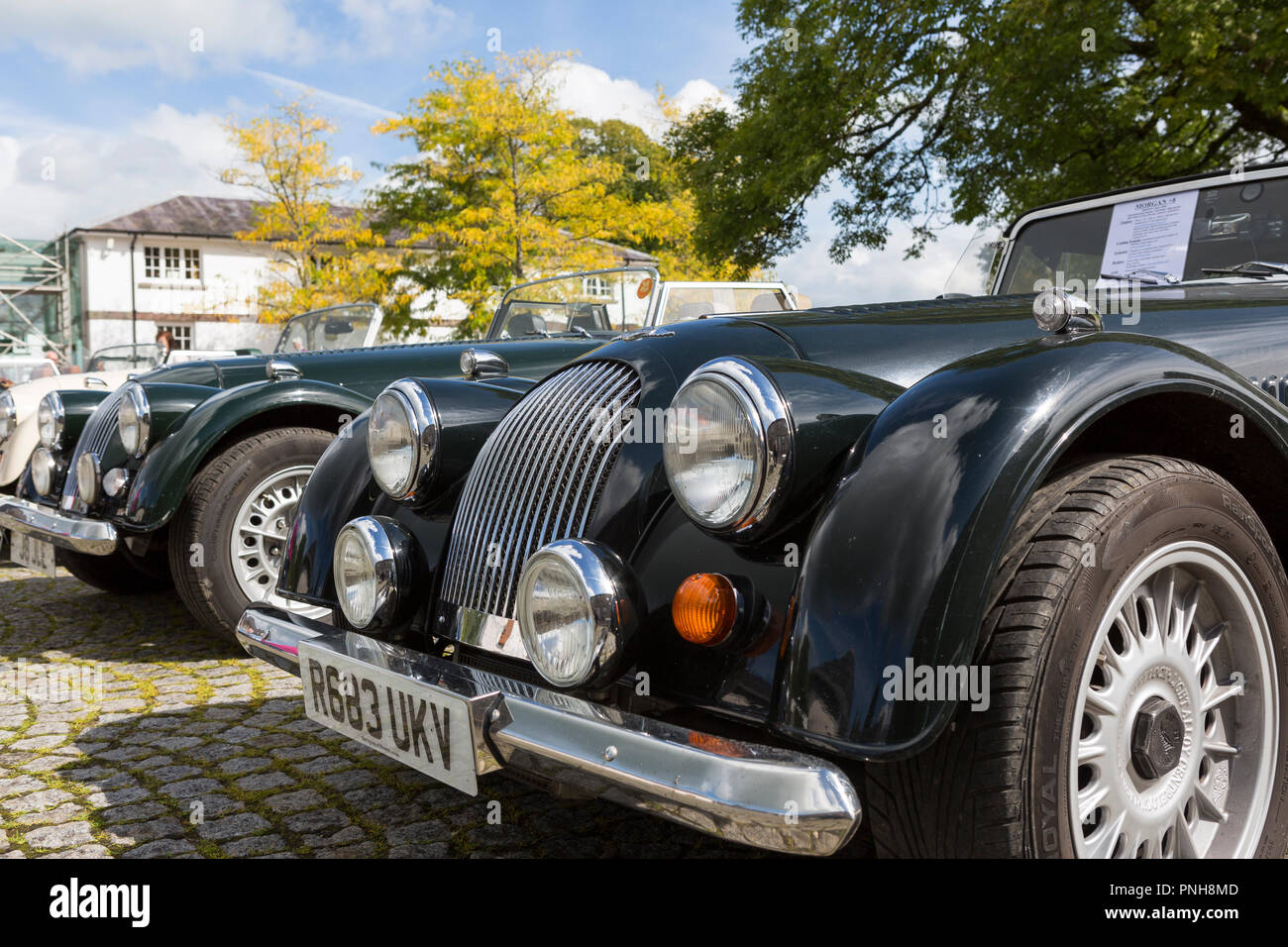 Morgan Motor Cars auf Anzeige an der Nationalen Botanischen Garten von Wales, Llanarthne, Carmarthenshire Stockfoto