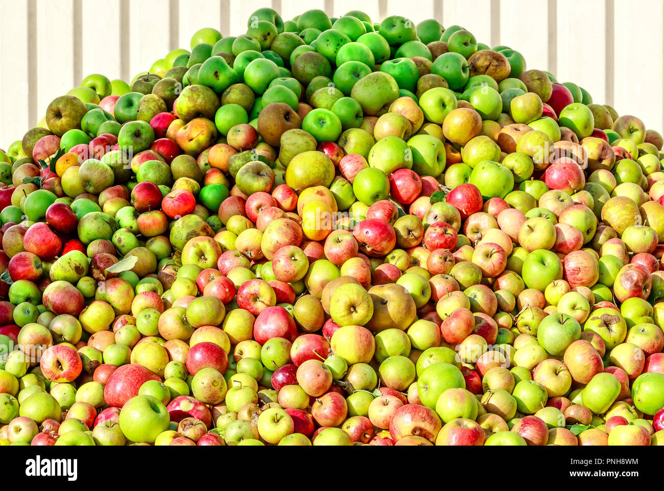 Berg von Äpfeln, Apfelwein und Apfelsaft in Hessen, Deutschland Stockfoto