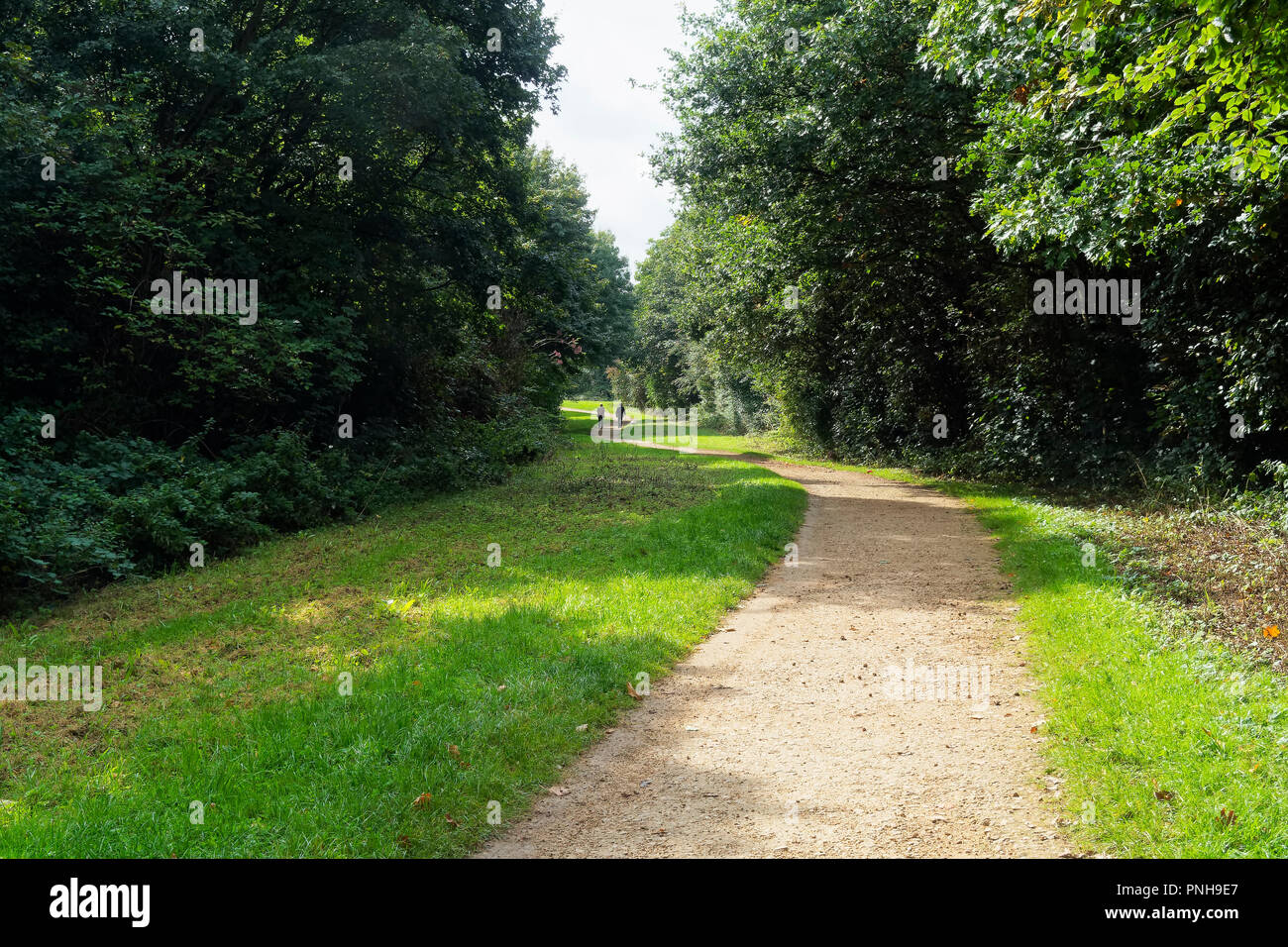 Ein Stein Pfad schlängelt sich zwischen breiten Grünstreifen und hohen Bäumen, in der Ferne zwei Zahlen einen kleinen Hund spazieren. Stockfoto