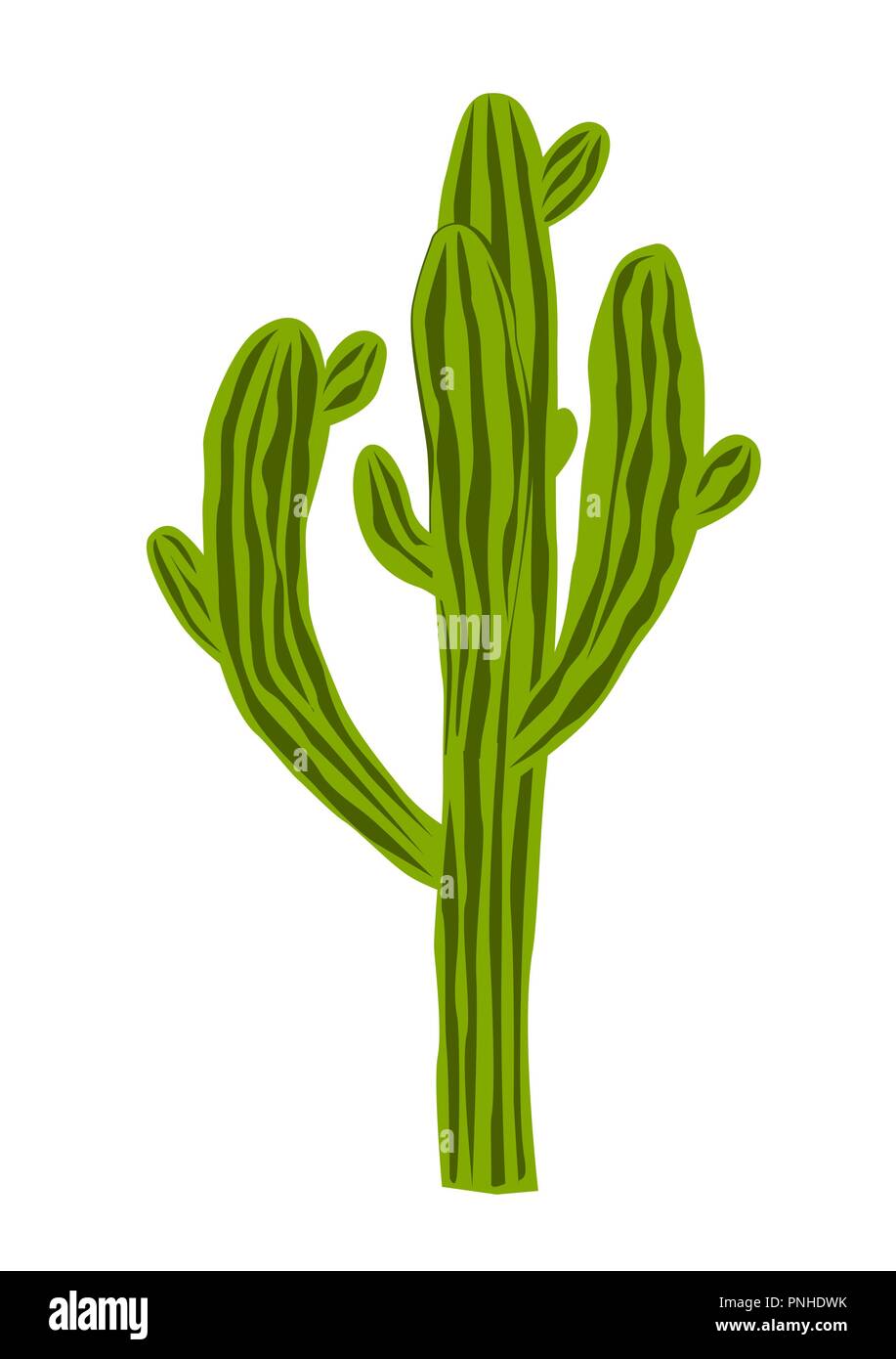 Eine alte und sehr große Saguaro Kaktus auf weißem Hintergrund, Carnegiea gigantea Vector Illustration. Stock Vektor