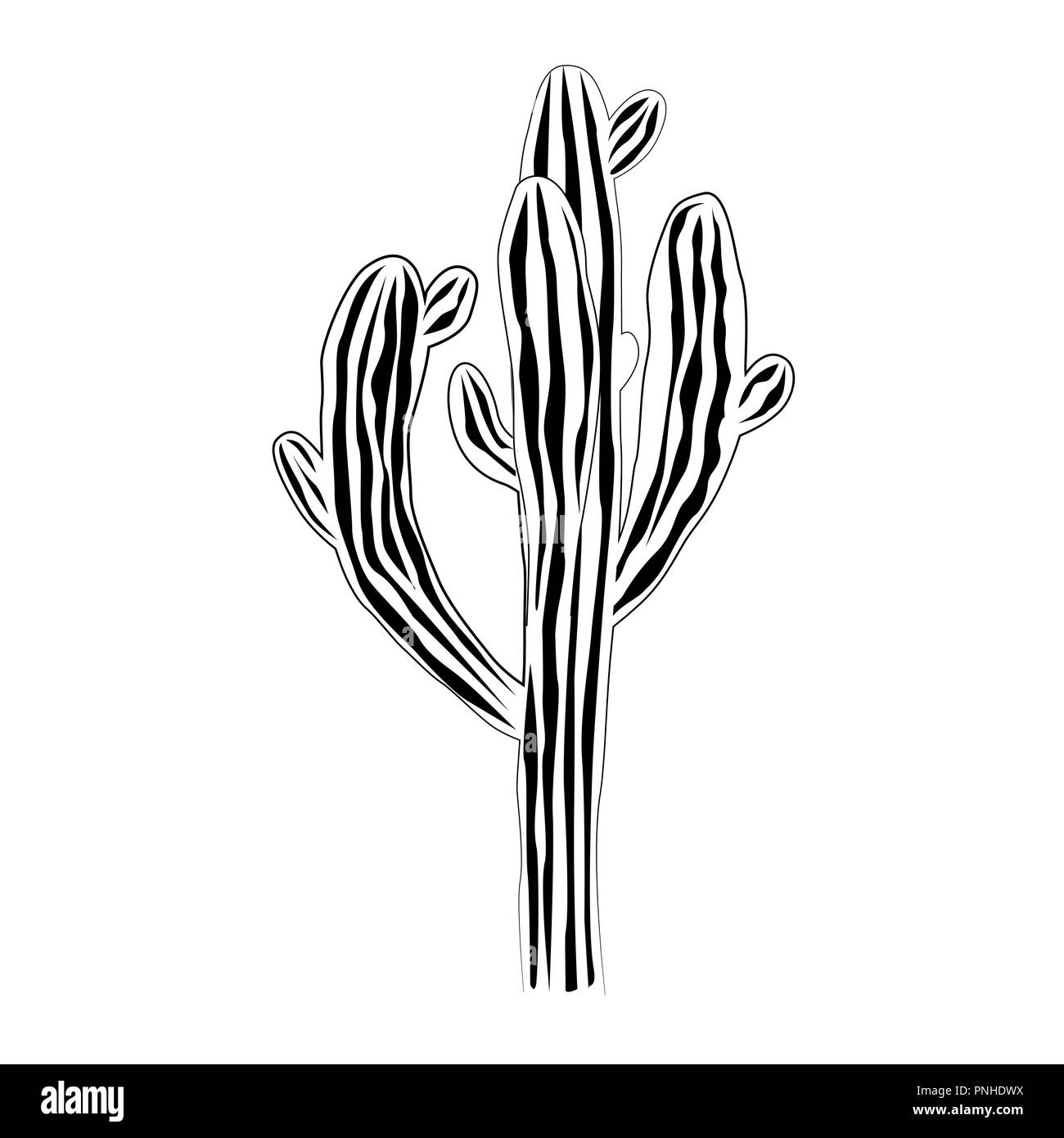 Eine alte und sehr große Saguaro Kaktus auf weißem Hintergrund, Carnegiea gigantea Vector Illustration. Schwarze und weiße Grafik Stock Vektor