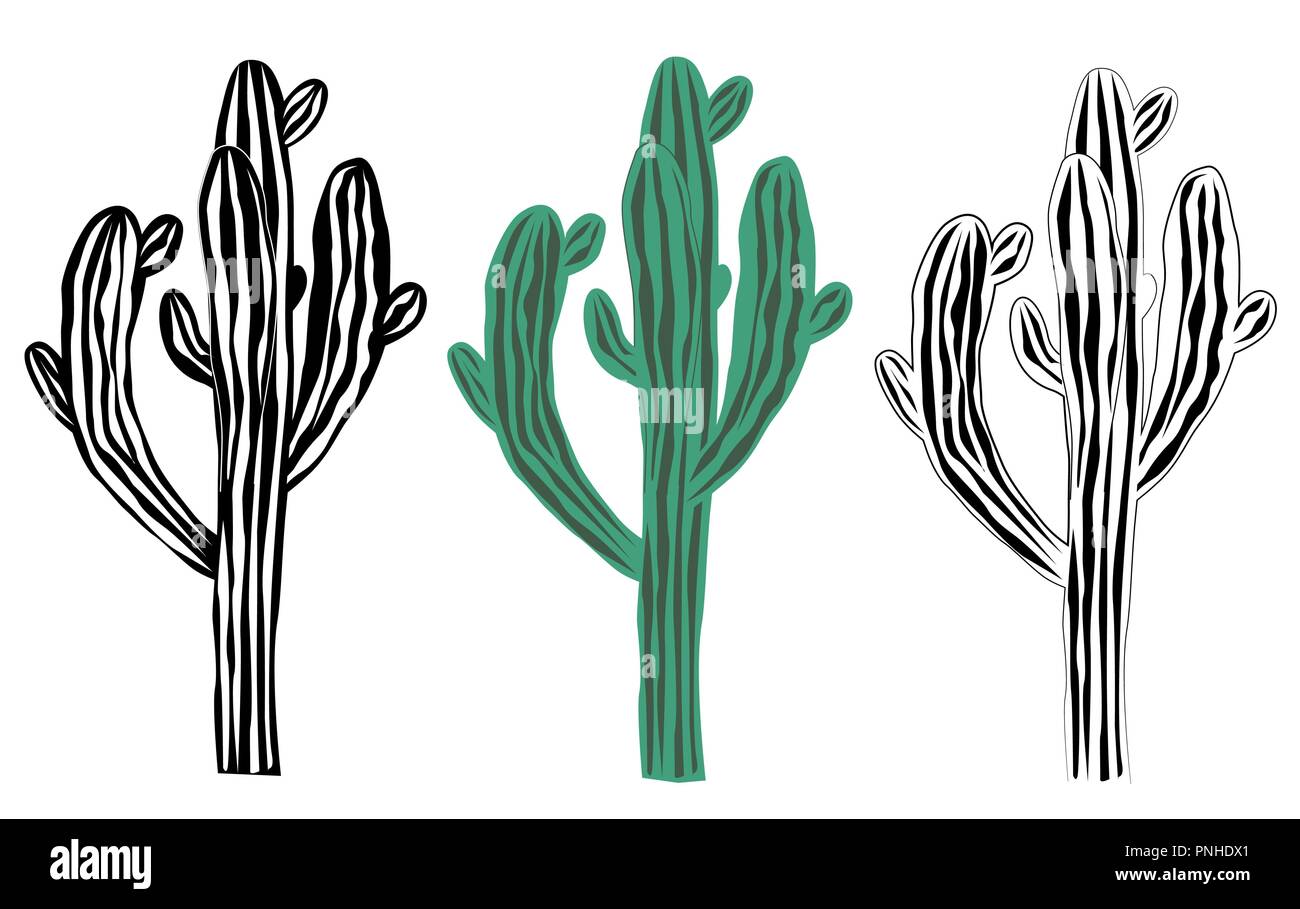 Alte Saguaro Kaktus auf weißem Hintergrund, Carnegiea gigantea Vector Illustration. Schwarze und weiße Grafik und Farbe einstellen Stock Vektor