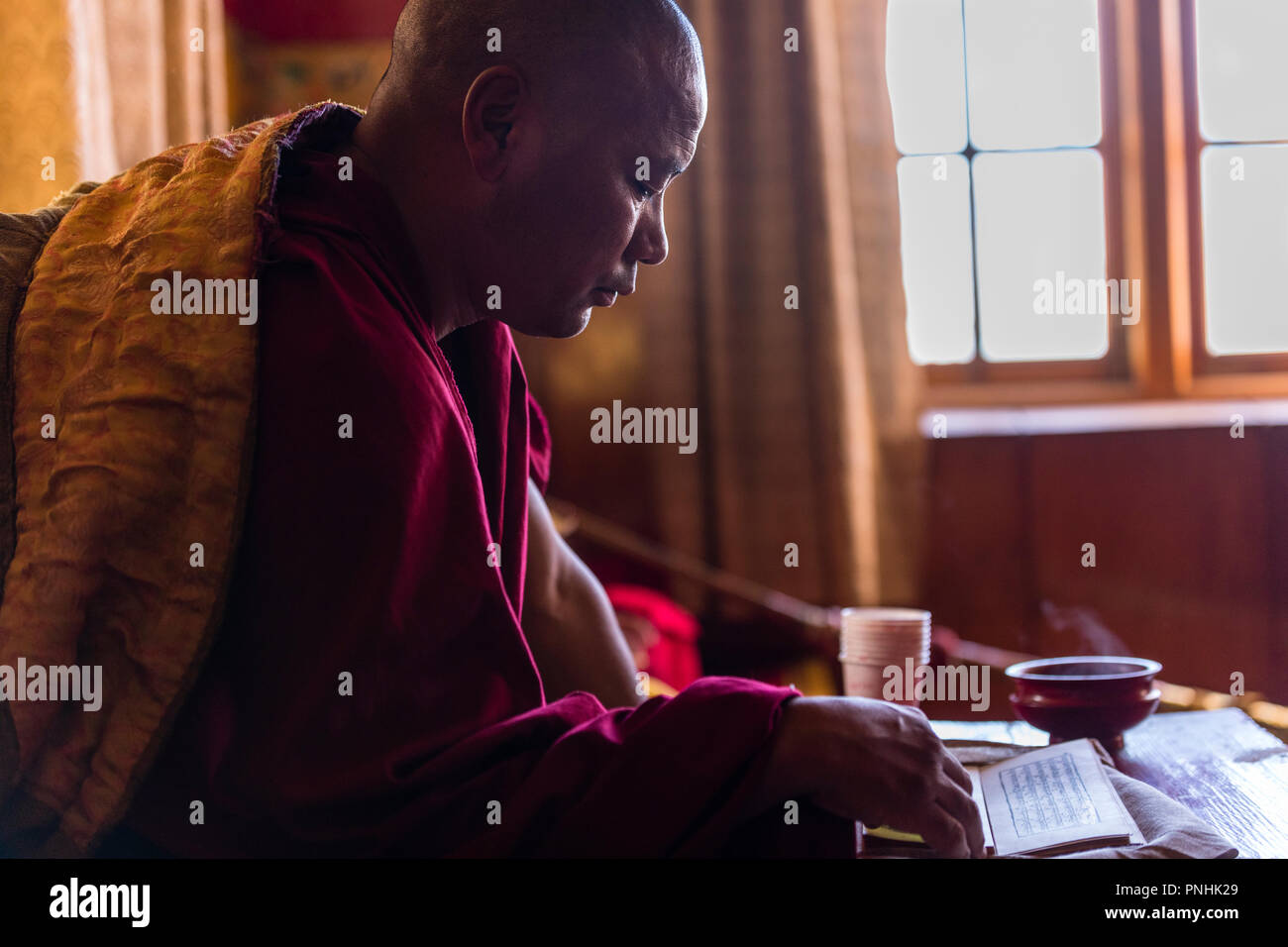 Mönch lesen religiösen Schriften im Thiksey Kloster in Ladakh Region in Indien Stockfoto