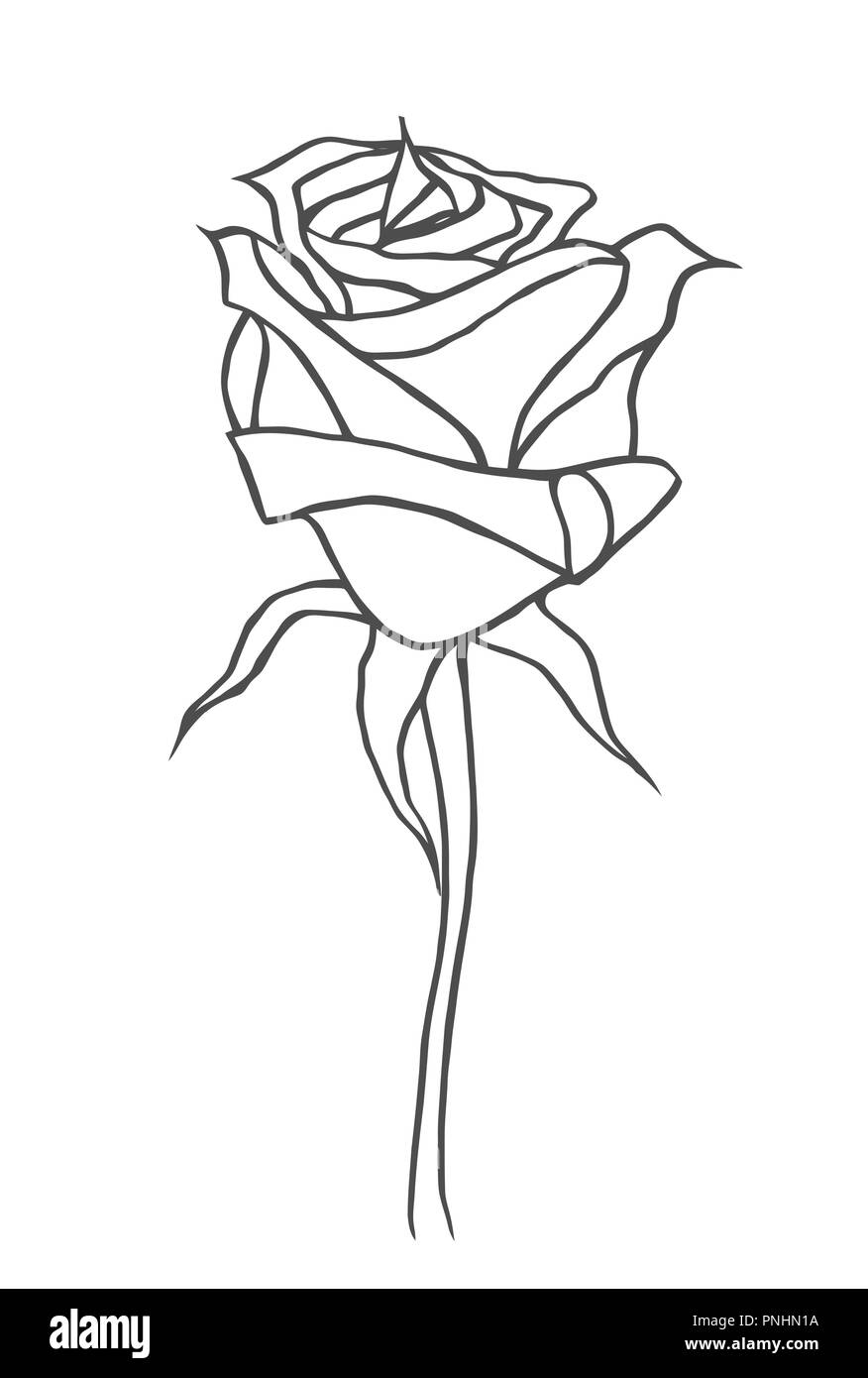 Grafik, Zeichnung. Rose, Logo, Zeichnung Vektorgrafiken mit Blumenmuster  für Design. Natürliches Design mit Blumenmuster Stock-Vektorgrafik - Alamy