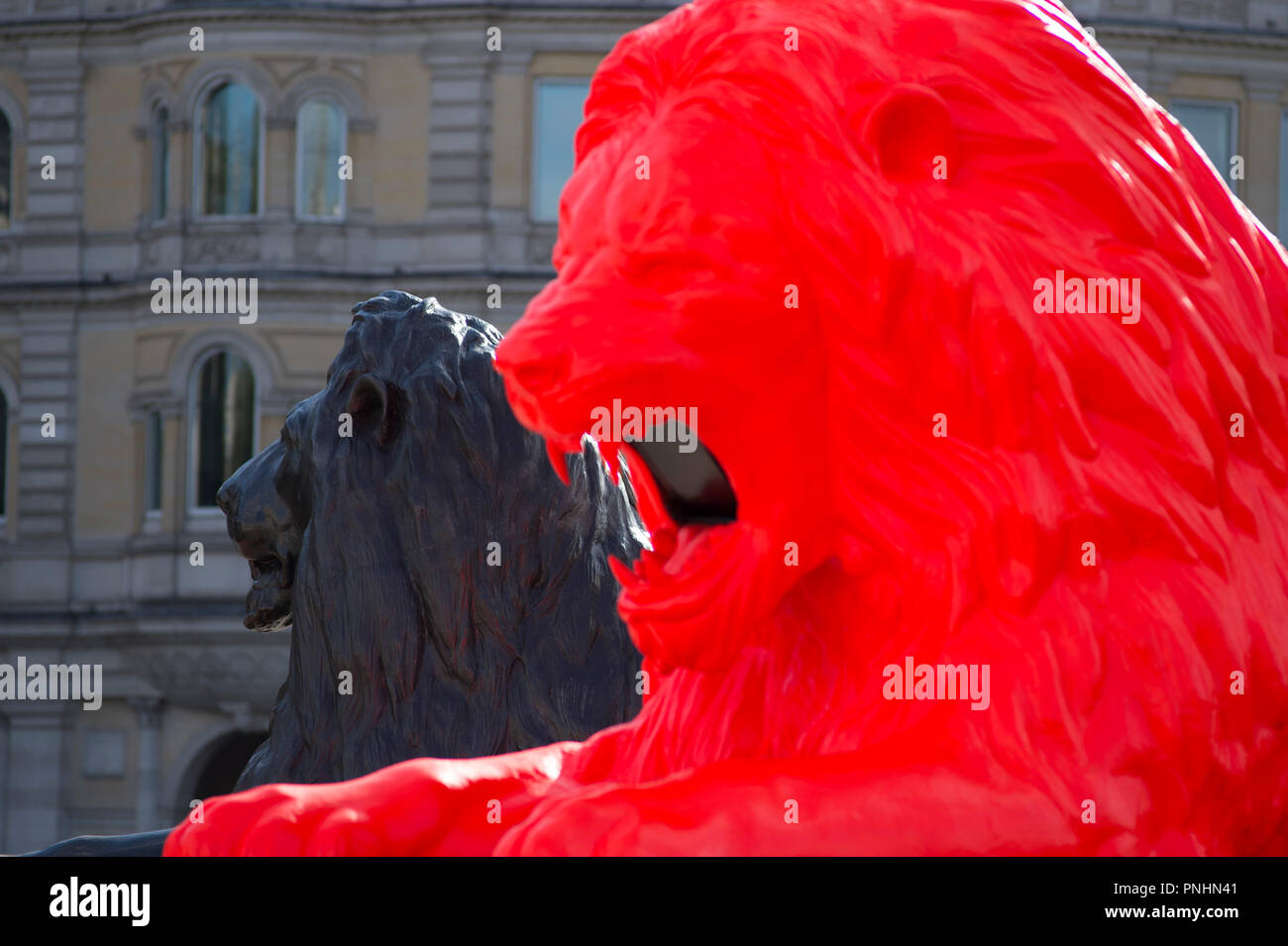 Bitte geben Sie die Löwen Installation durch Es Devlin verbindet Sir Edwin Landseers Löwen in Trafalgar Square für 5 Tage als Teil von London Design Festival. Stockfoto