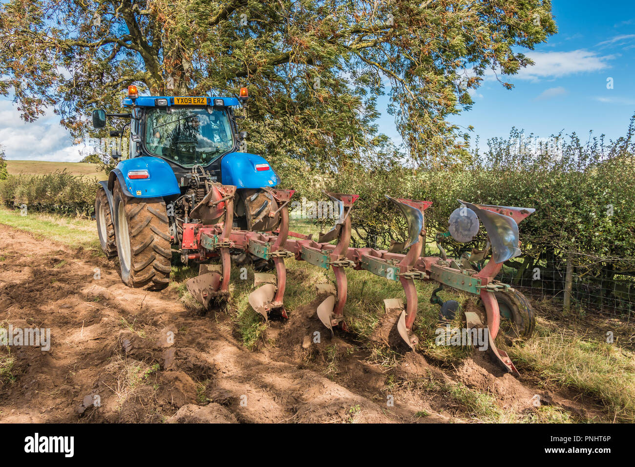 Ein New Holland Traktor und bei der Arbeit im Herbst sonnenschein Pflug Stockfoto