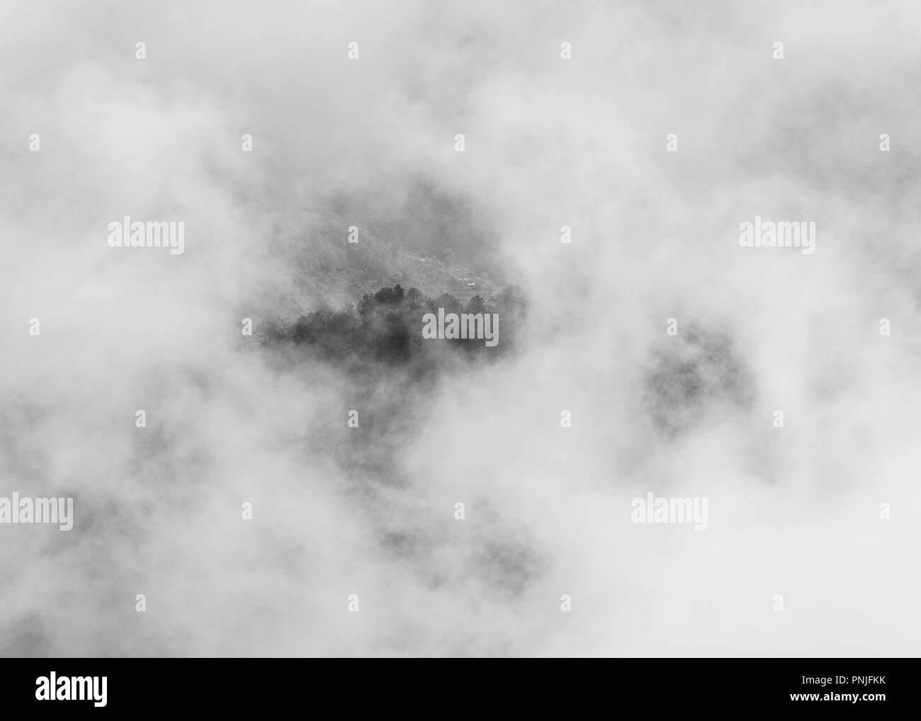 Bäume auf dem Hügel durch Wolken, die Schwarz-Weiß-Fotografie Stockfoto