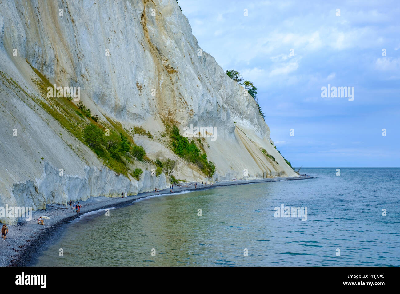 Moens Klint, die weißen Klippen von Moen, Moen Island, Dänemark, Skandinavien, Europa. Stockfoto