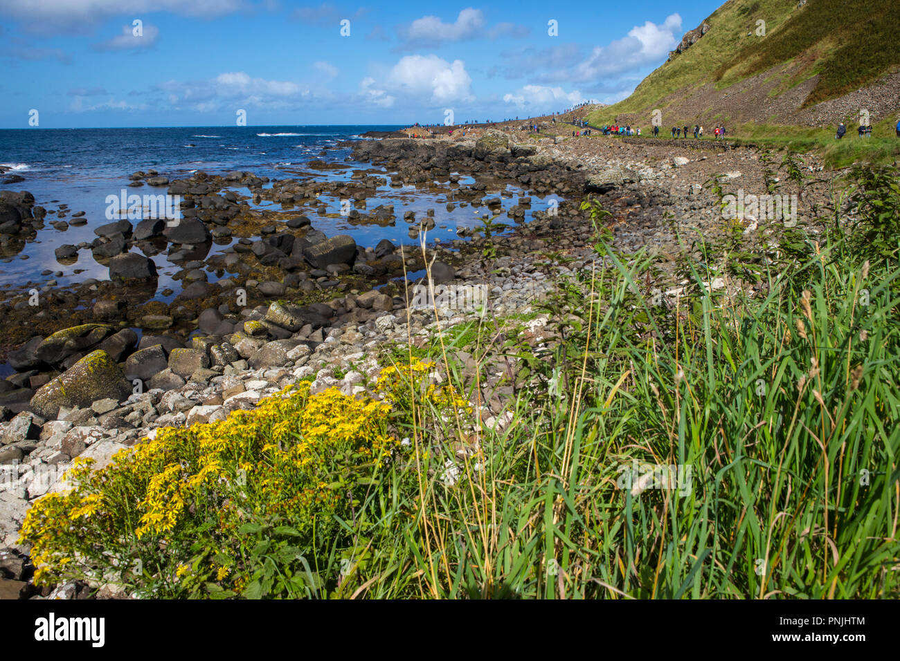 Der Blick Richtung Giant's Causeway in Nordirland. Stockfoto