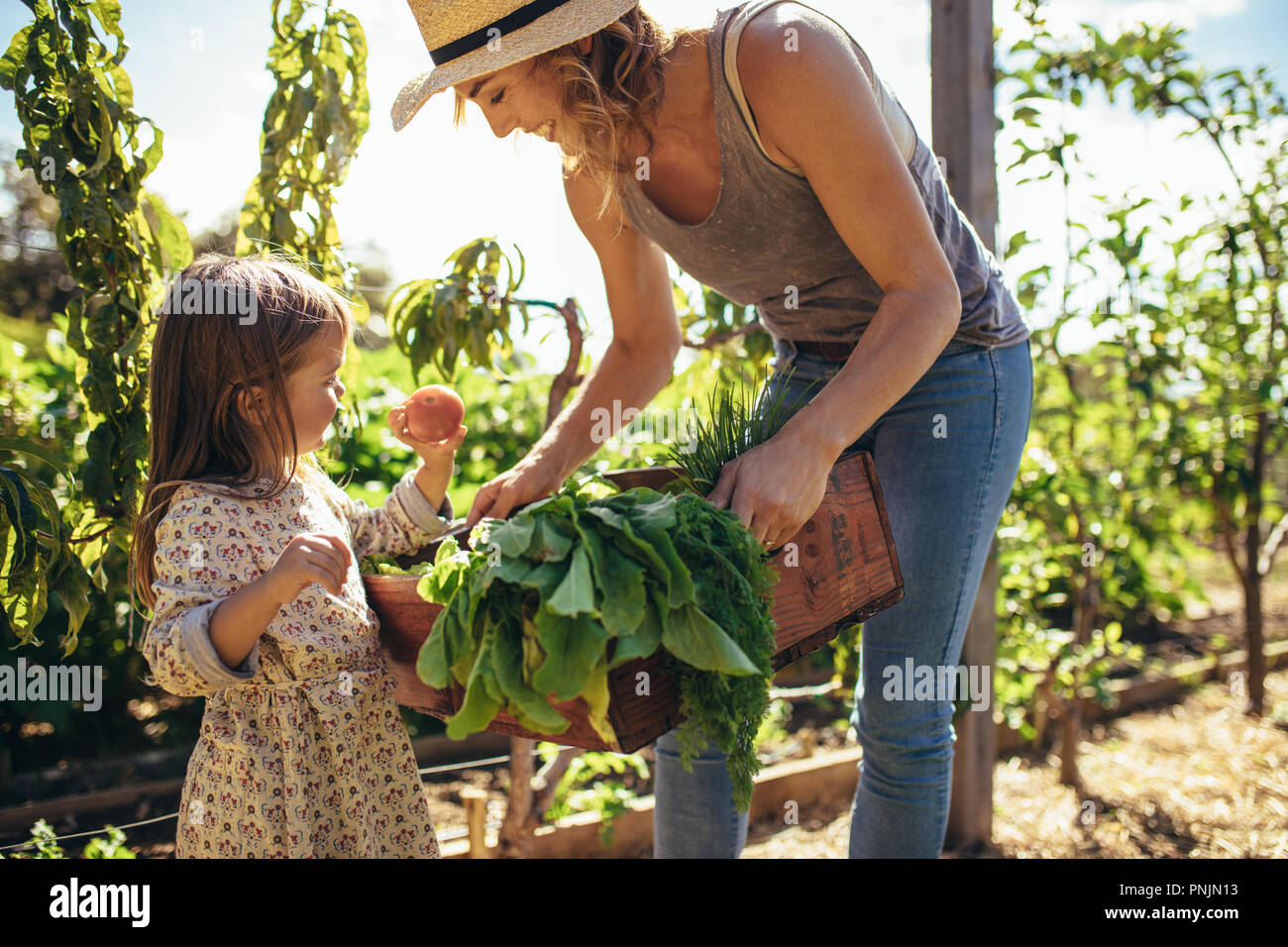 Kleines Mädchen auf der Suche nach frischem Gemüse in Fach einer Mutter. Mutter und Tochter mit frisch geernteten Gemüse in Ihrem Garten. Stockfoto