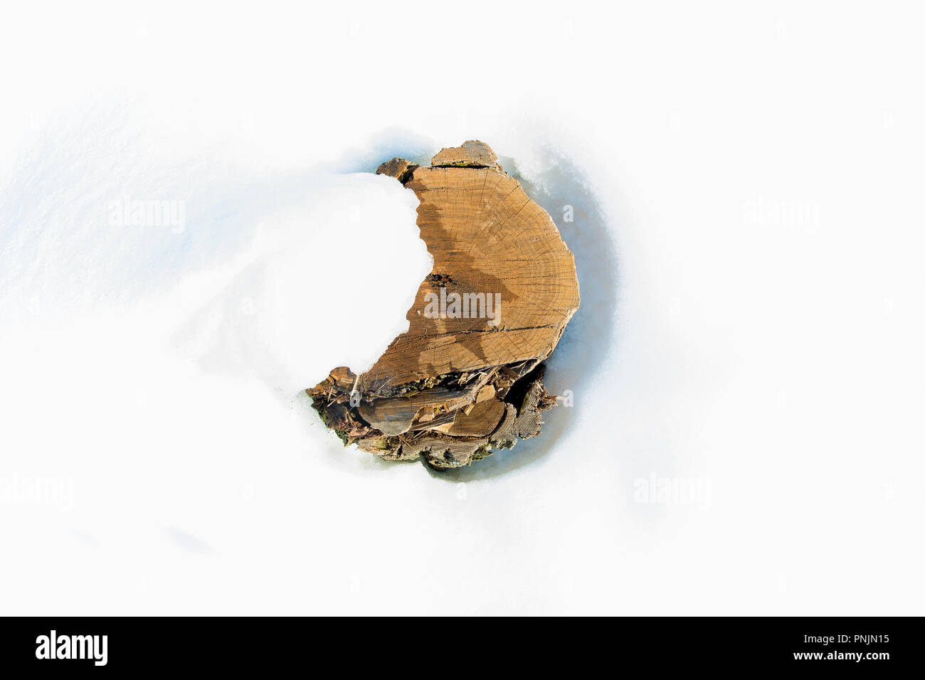 Baumstumpf im Schnee Hintergrundbild mit Platz für Text Stockfoto